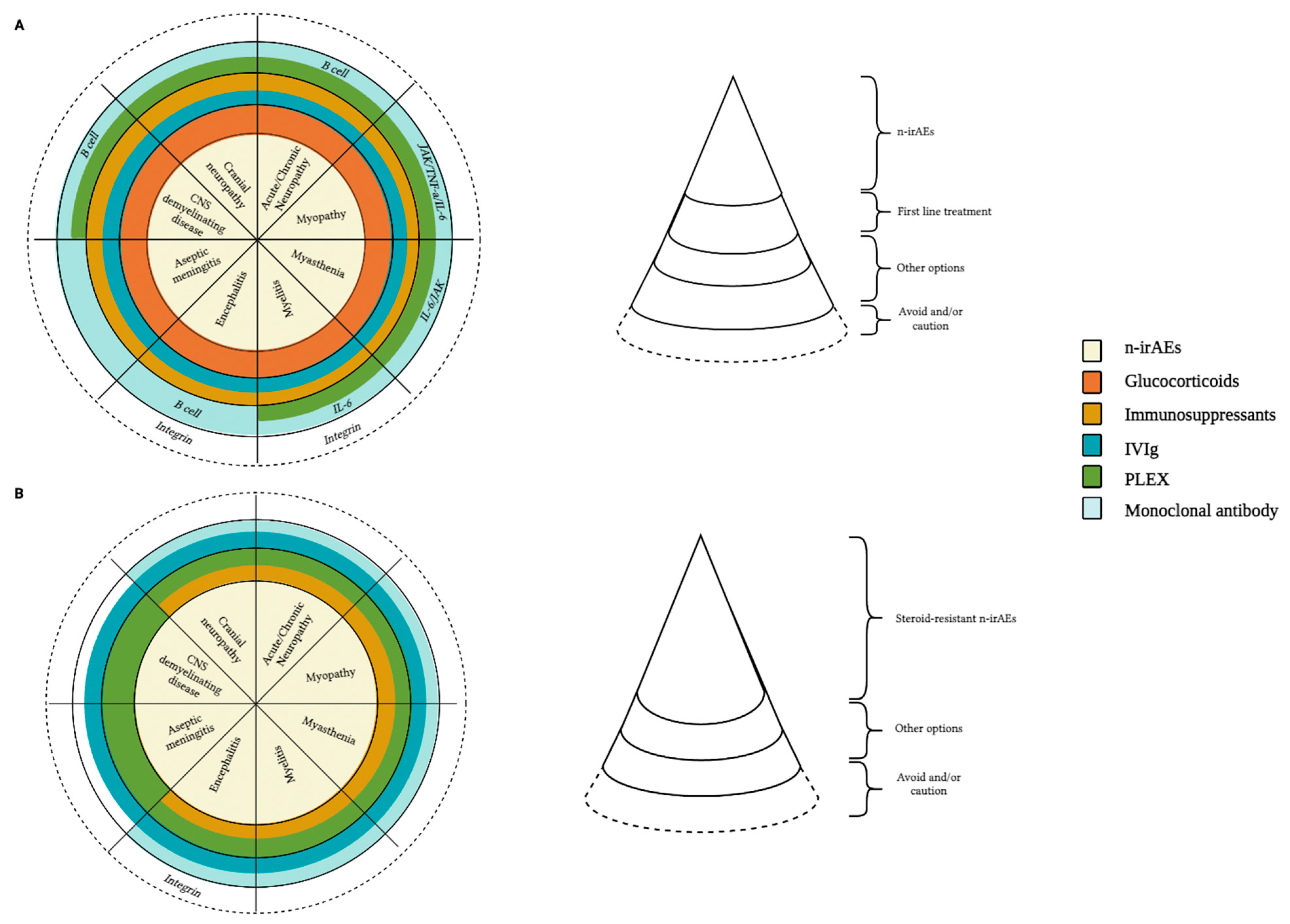 Brainsci 14 00764 g003