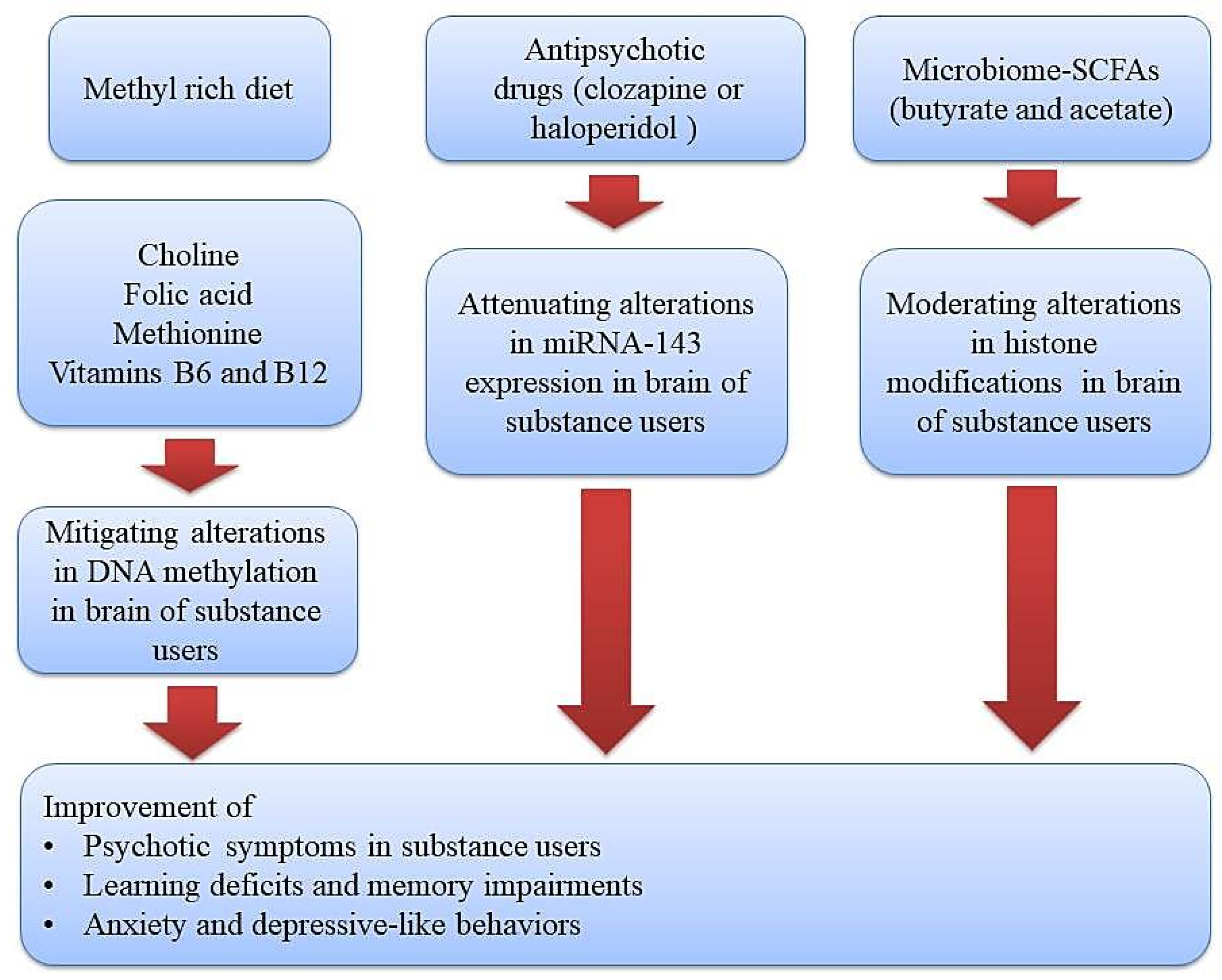 Brainsci 14 00769 g001