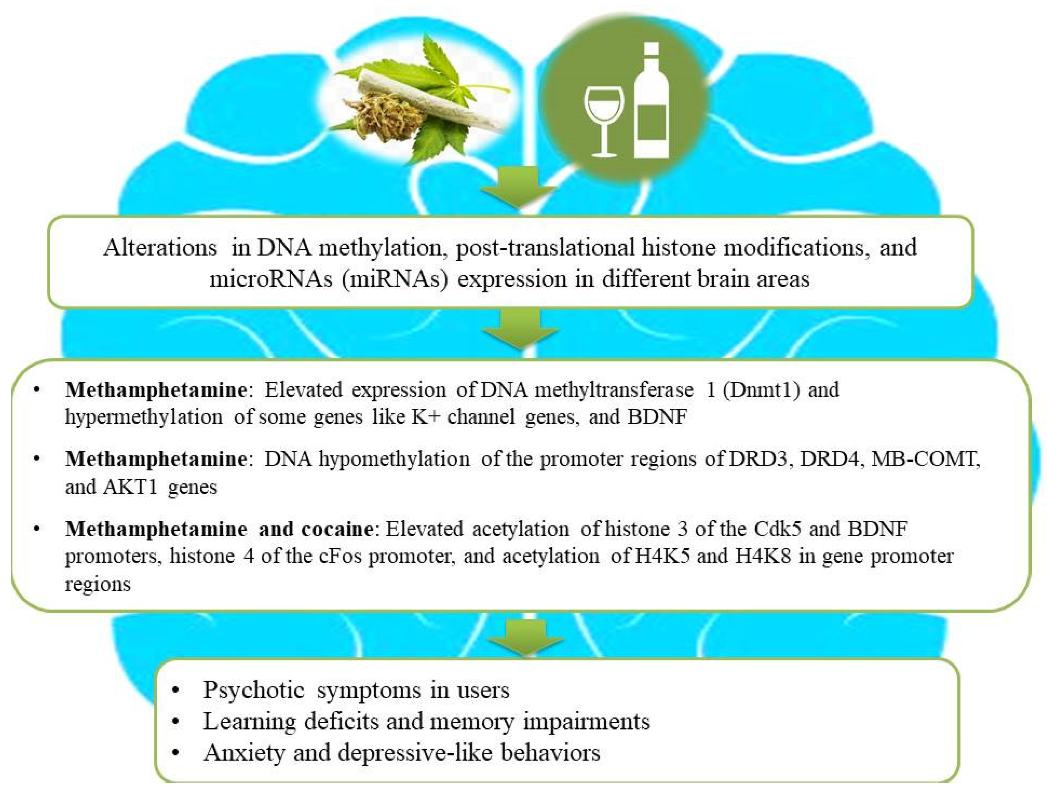Brainsci 14 00769 g002