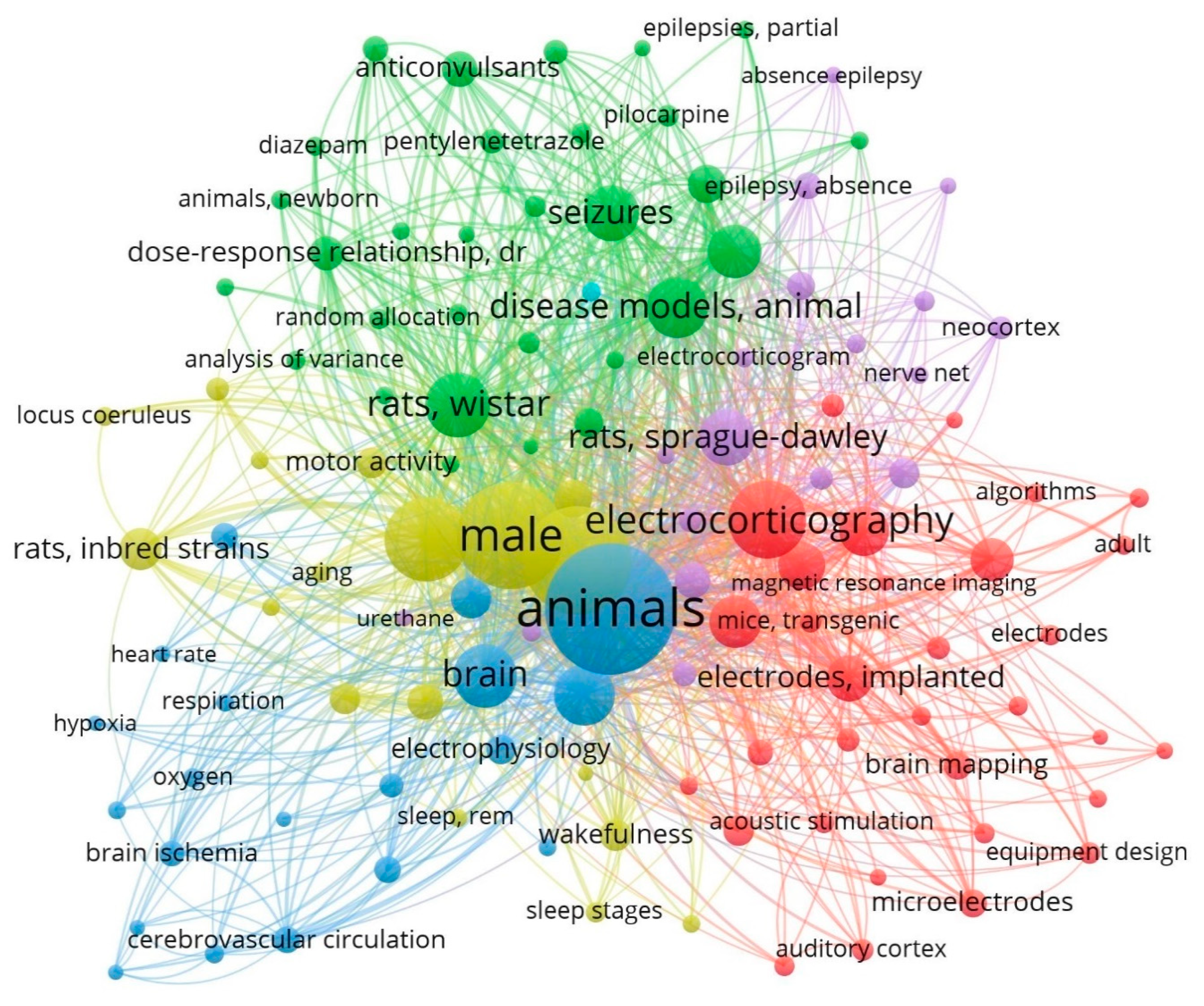 Brainsci 14 00772 g002 Brainsci 14 00772 g002