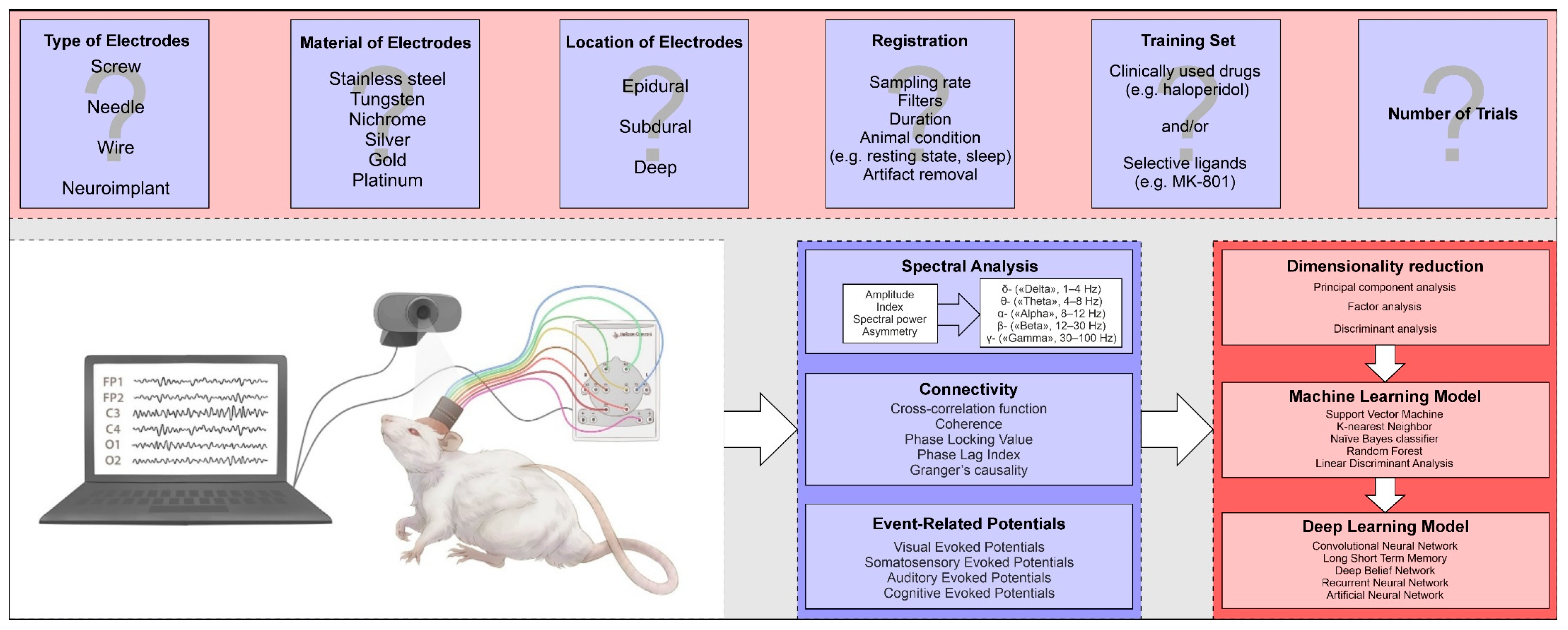 Brainsci 14 00772 g004 Brainsci 14 00772 g004