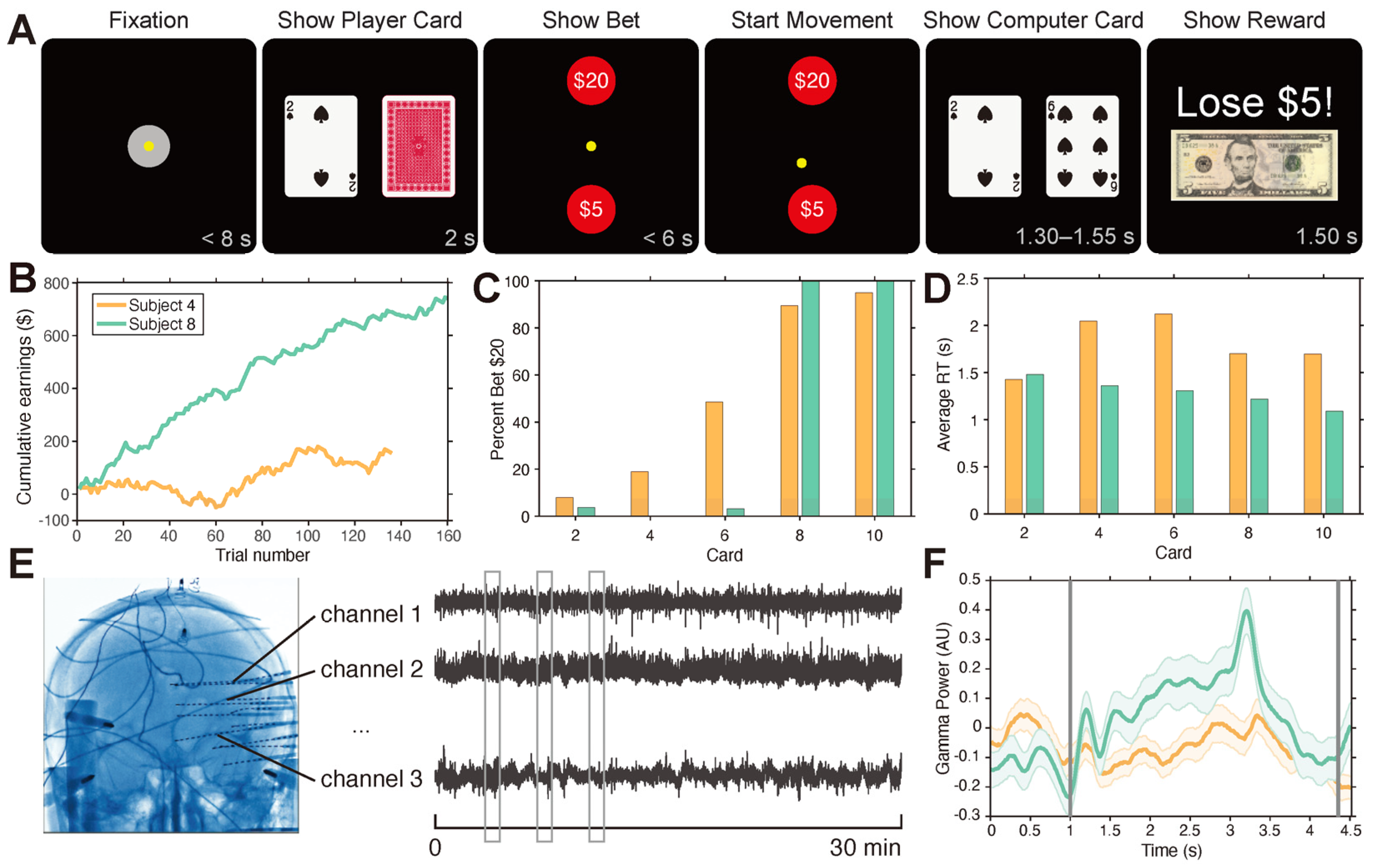 Brainsci 14 00773 g001