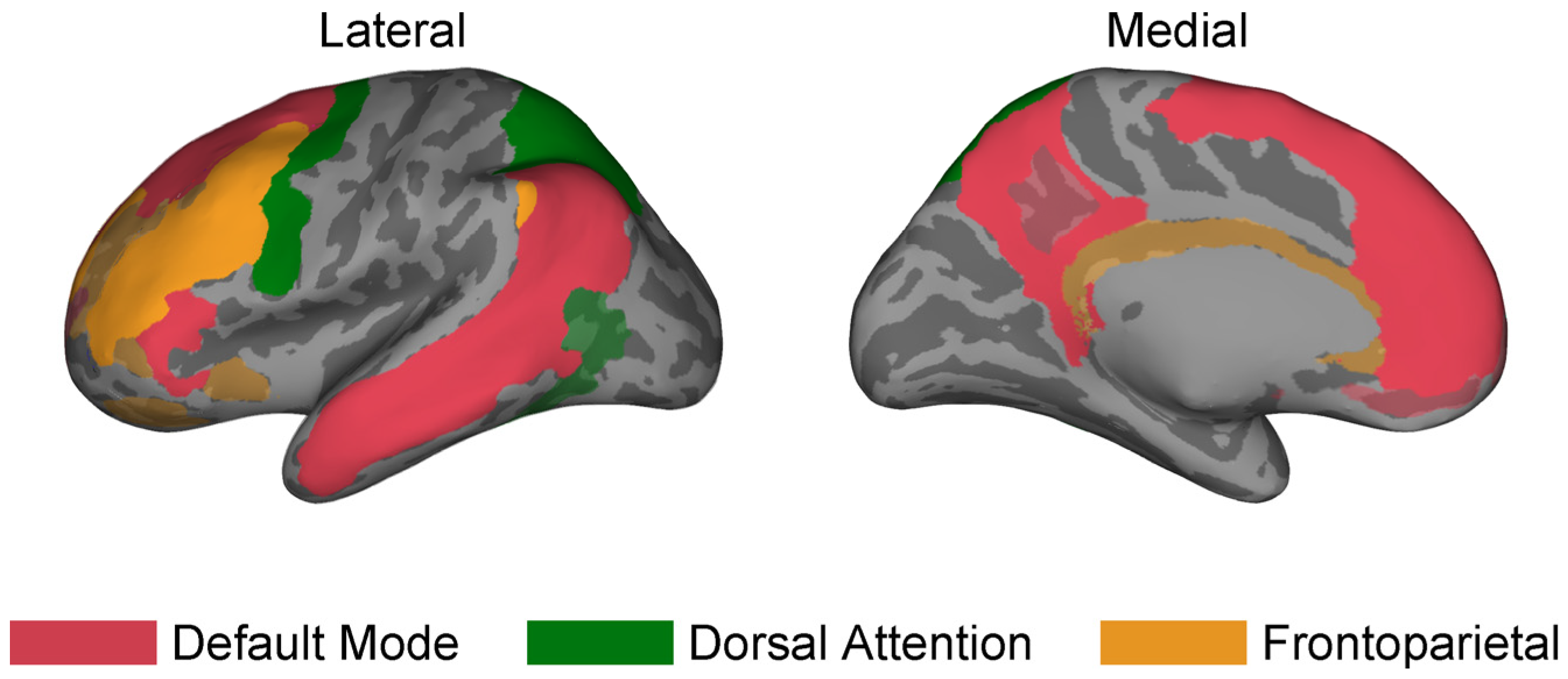 Brainsci 14 00773 g002