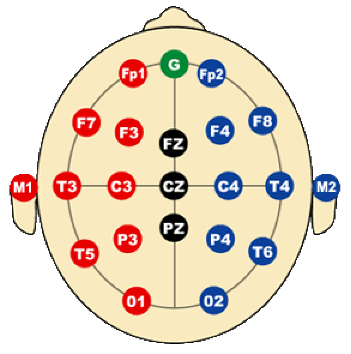 Brainsci 14 00778 g002
