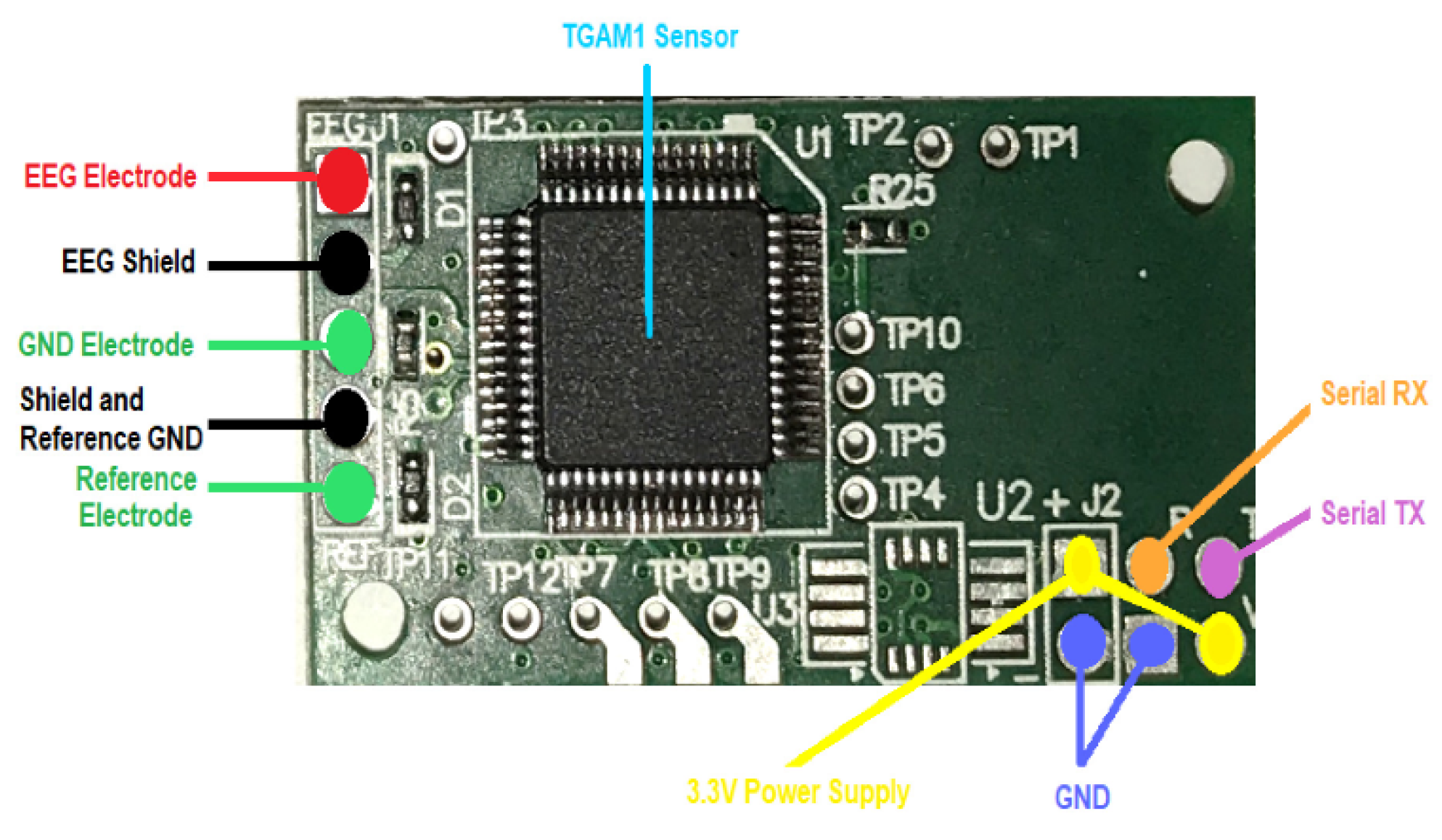 Brainsci 14 00778 g003