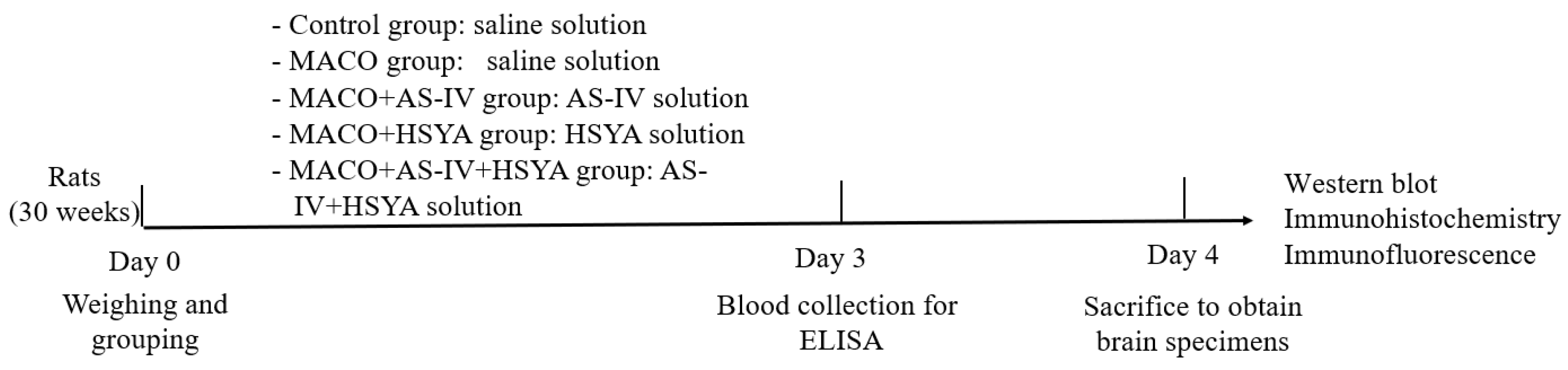 Brainsci 14 00781 g001