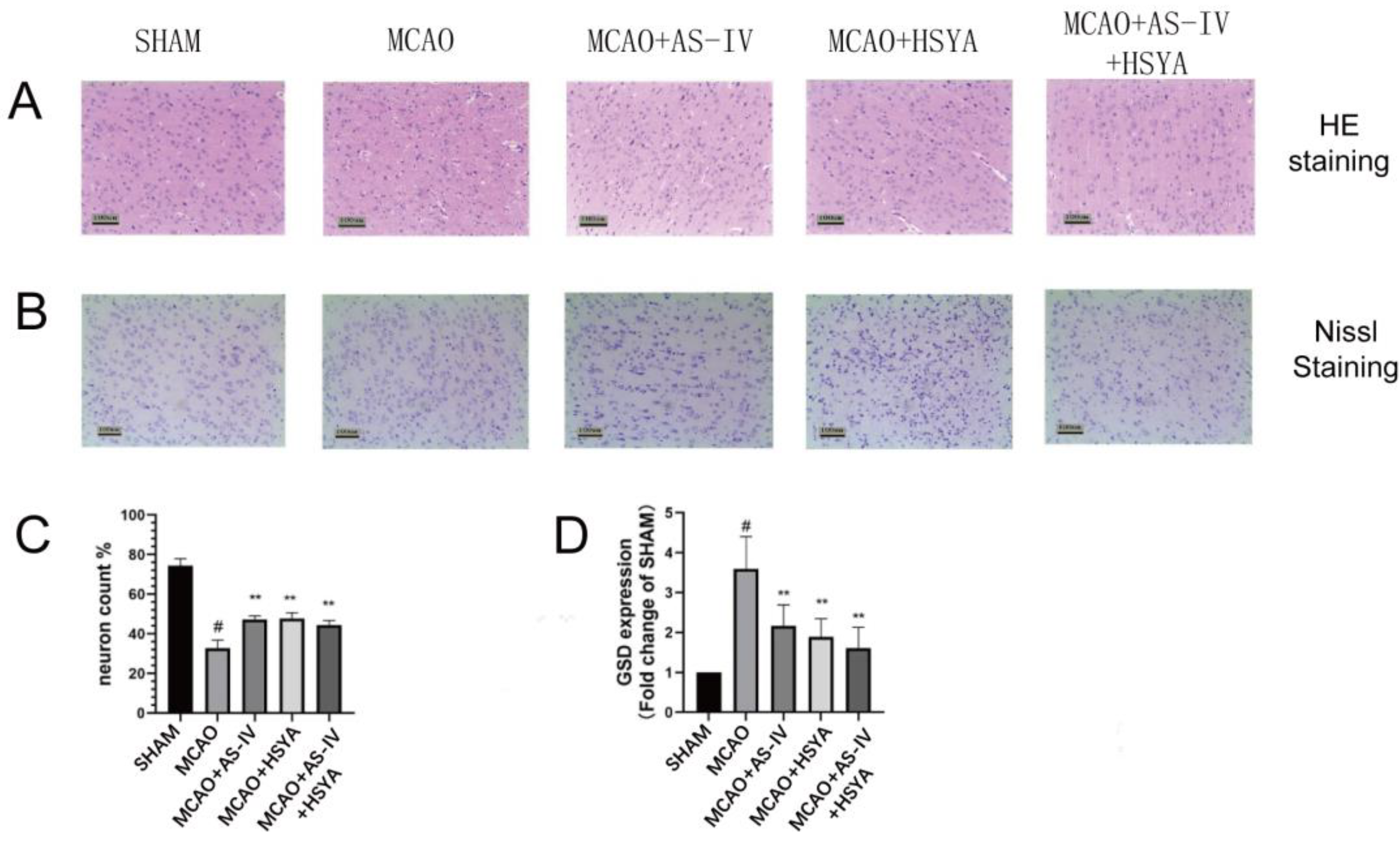 Brainsci 14 00781 g003