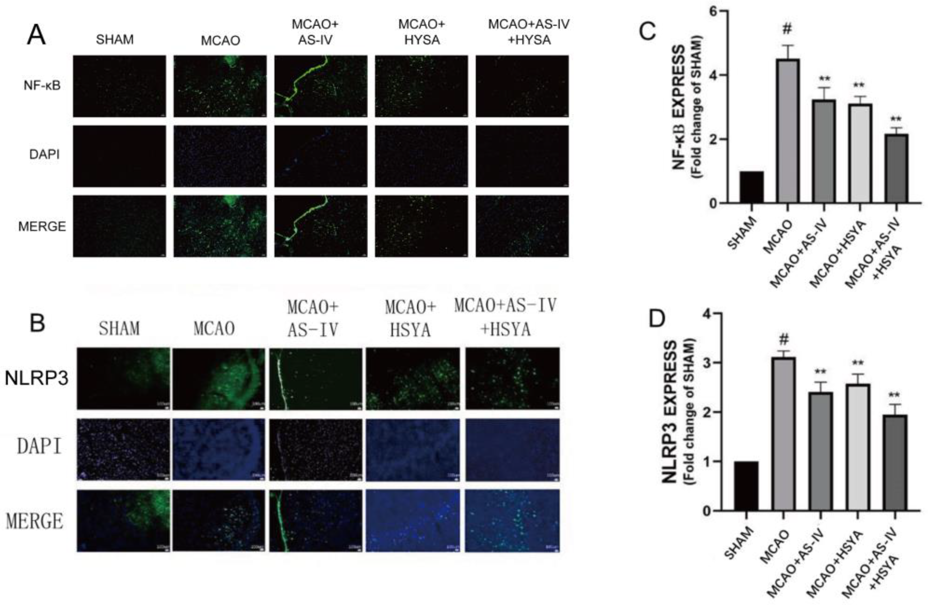 Brainsci 14 00781 g007