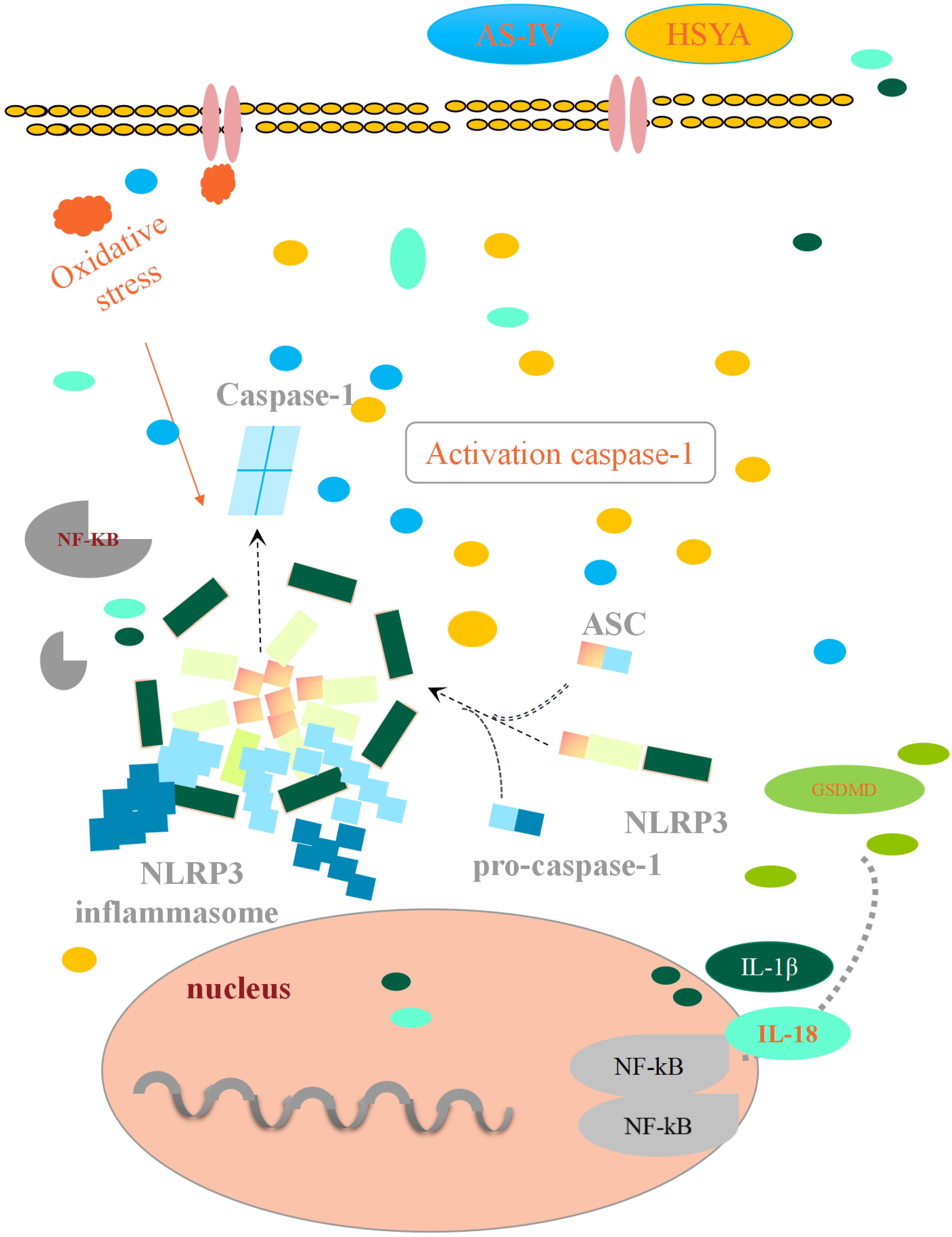 Brainsci 14 00781 g008