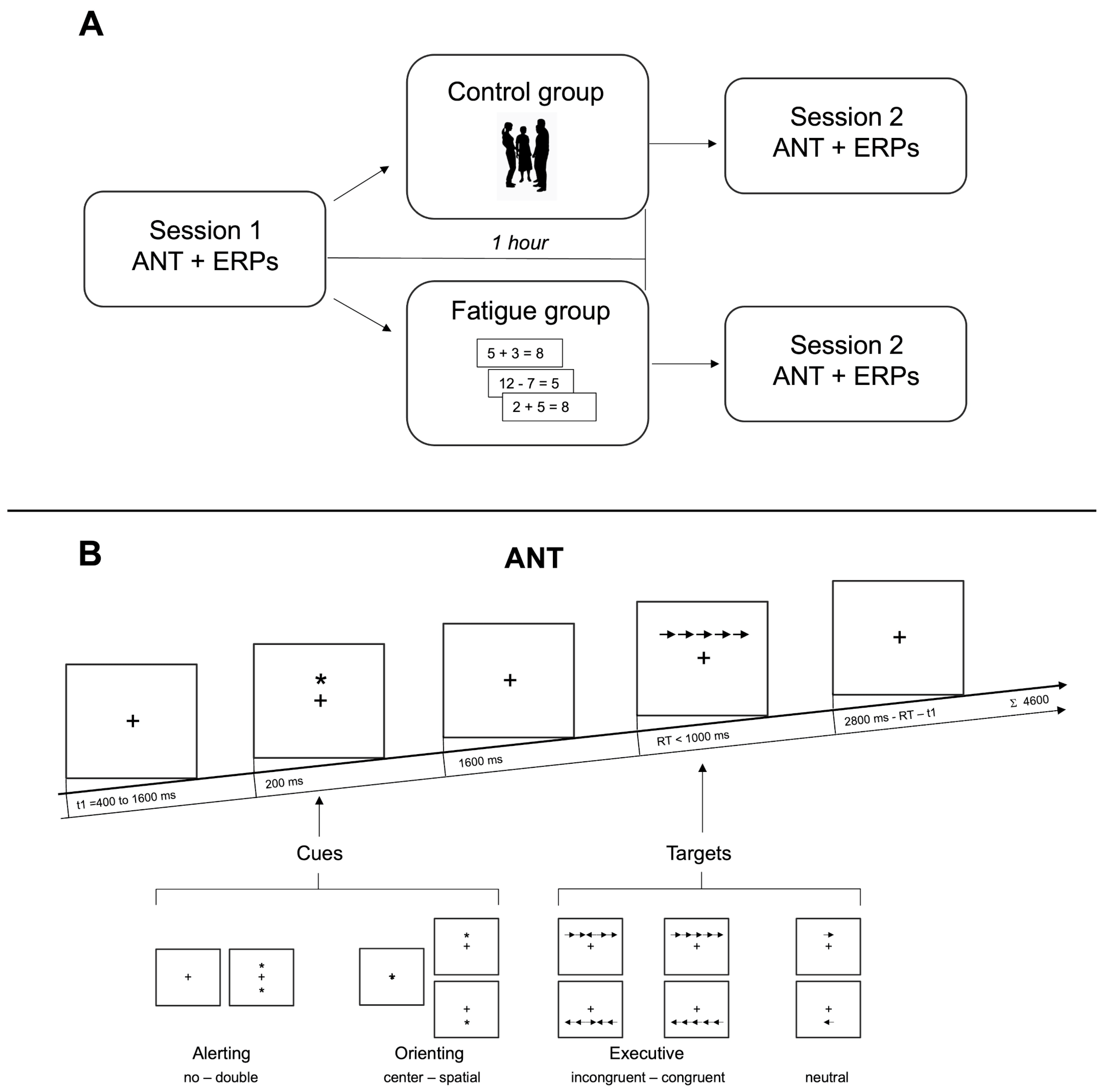 Brainsci 14 00803 g001
