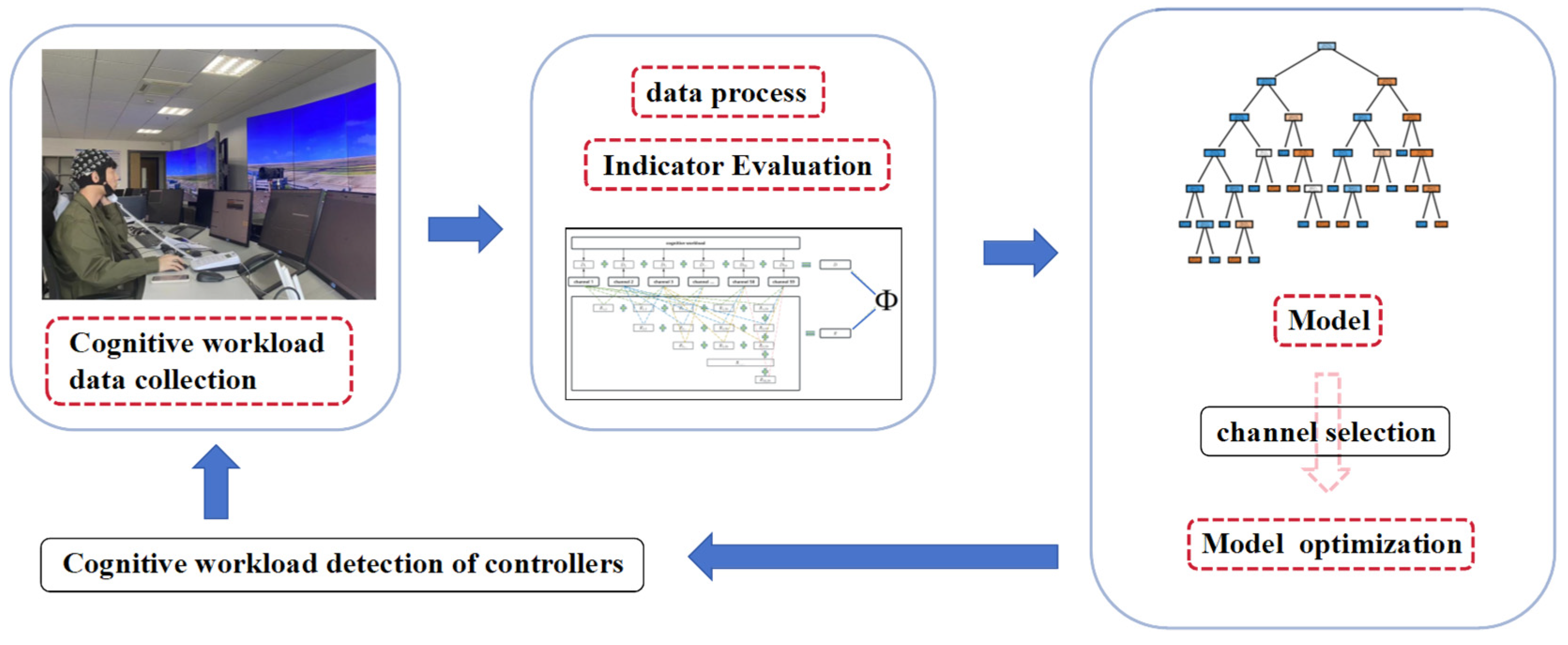 Brainsci 14 00811 g001