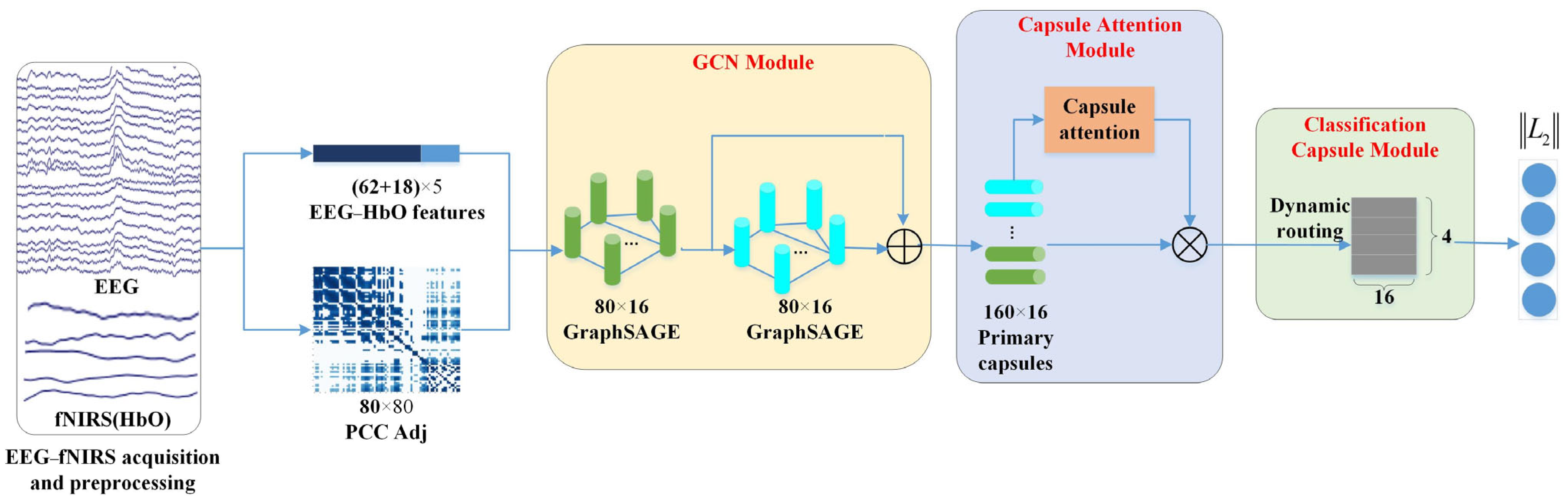 Brainsci 14 00820 g003