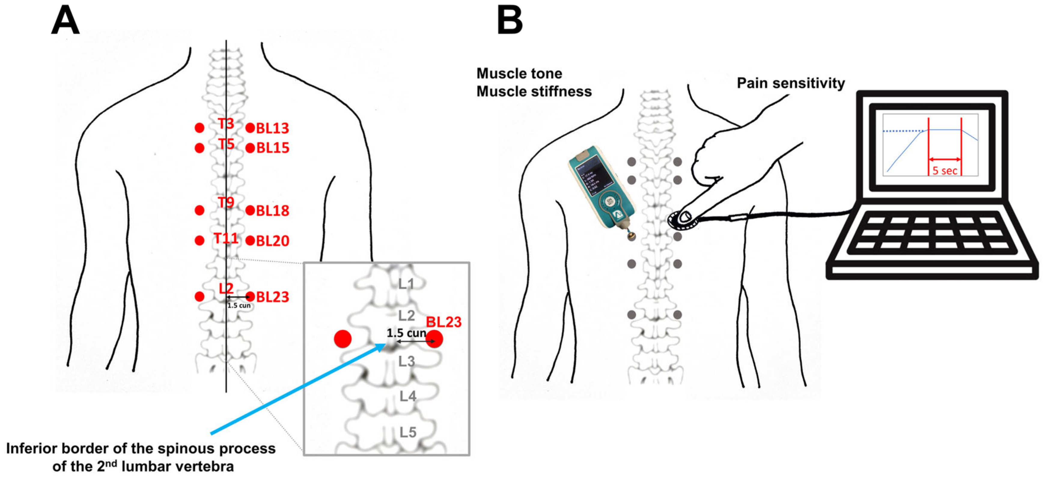 Brainsci 14 00823 g001