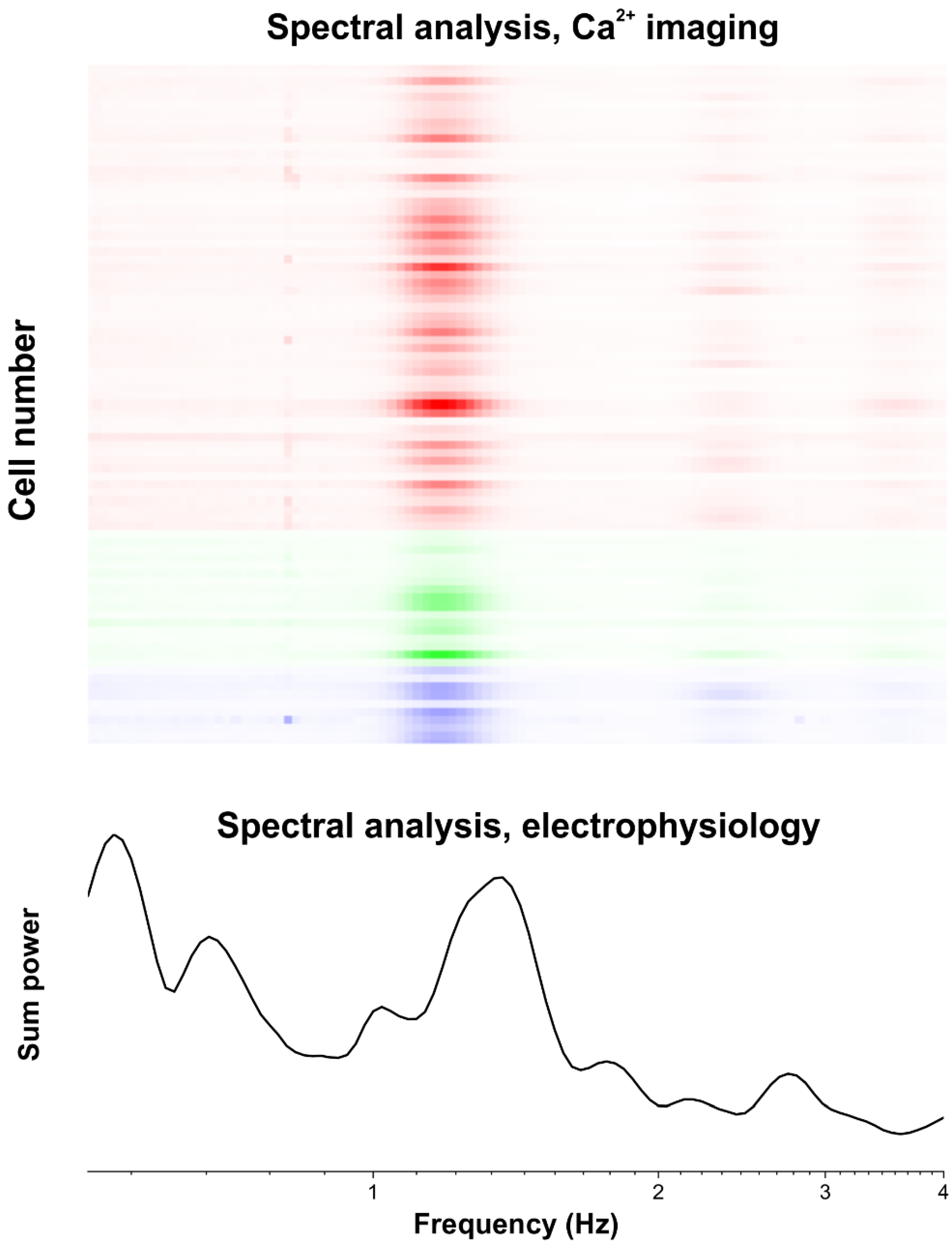 Brainsci 14 00830 g004