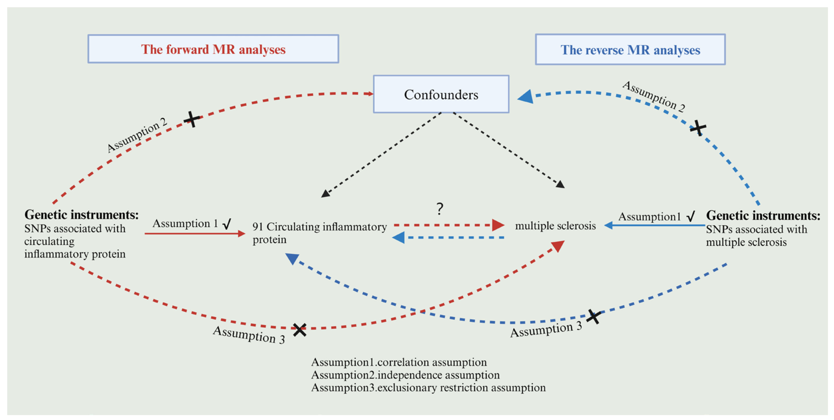 Brainsci 14 00833 g001