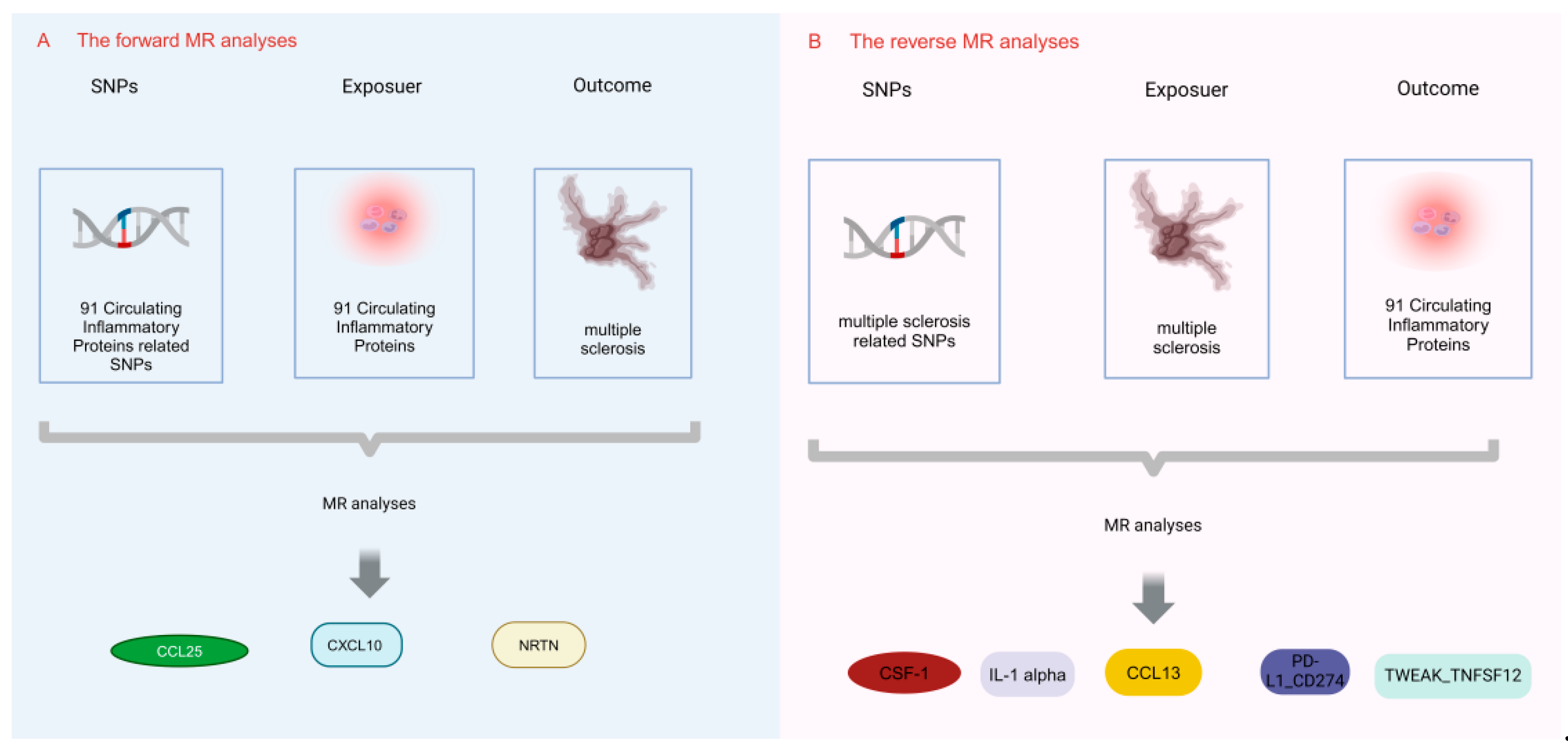 Brainsci 14 00833 g002