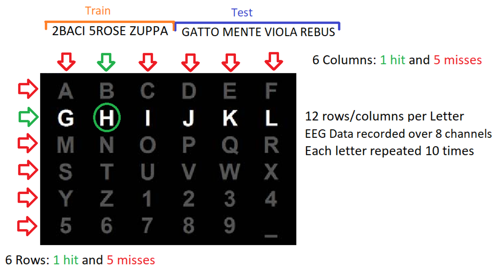 Brainsci 14 00836 g001