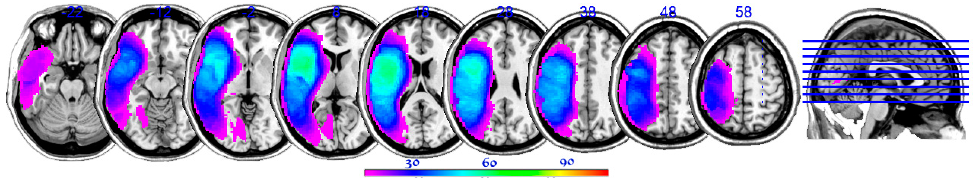 Brainsci 14 00853 g001