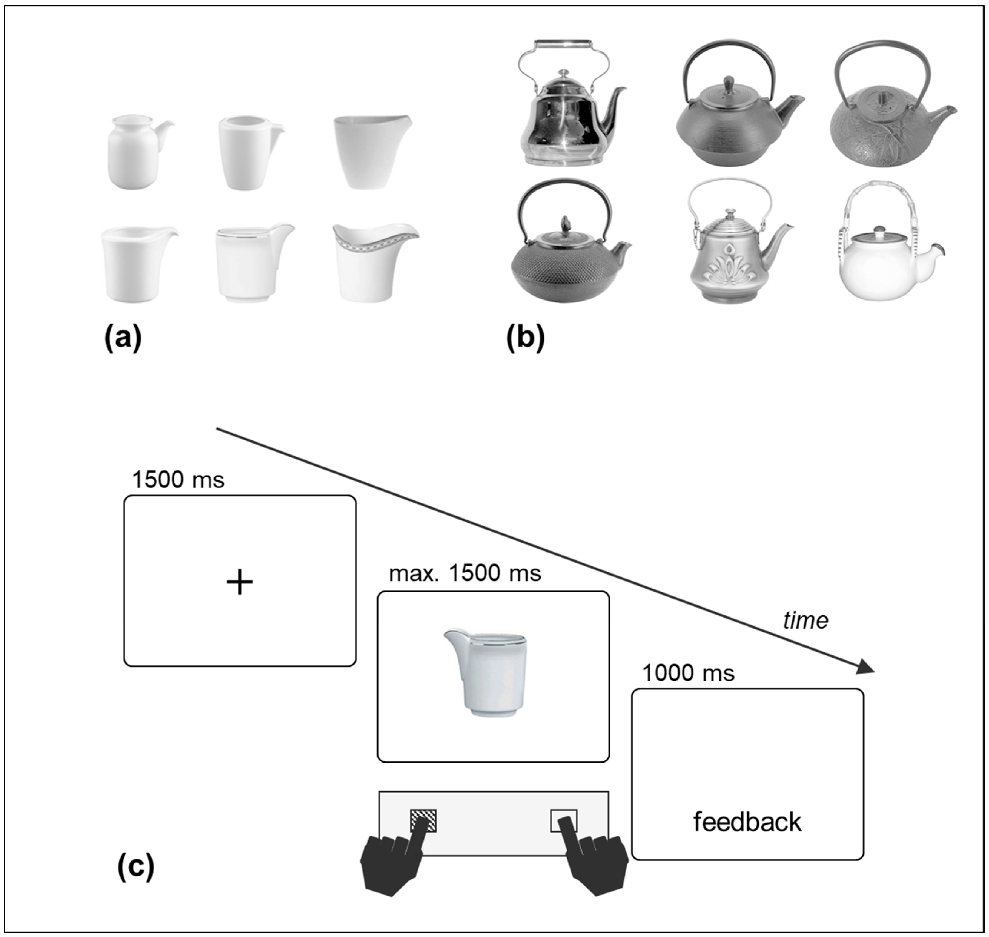 Brainsci 14 00854 g001