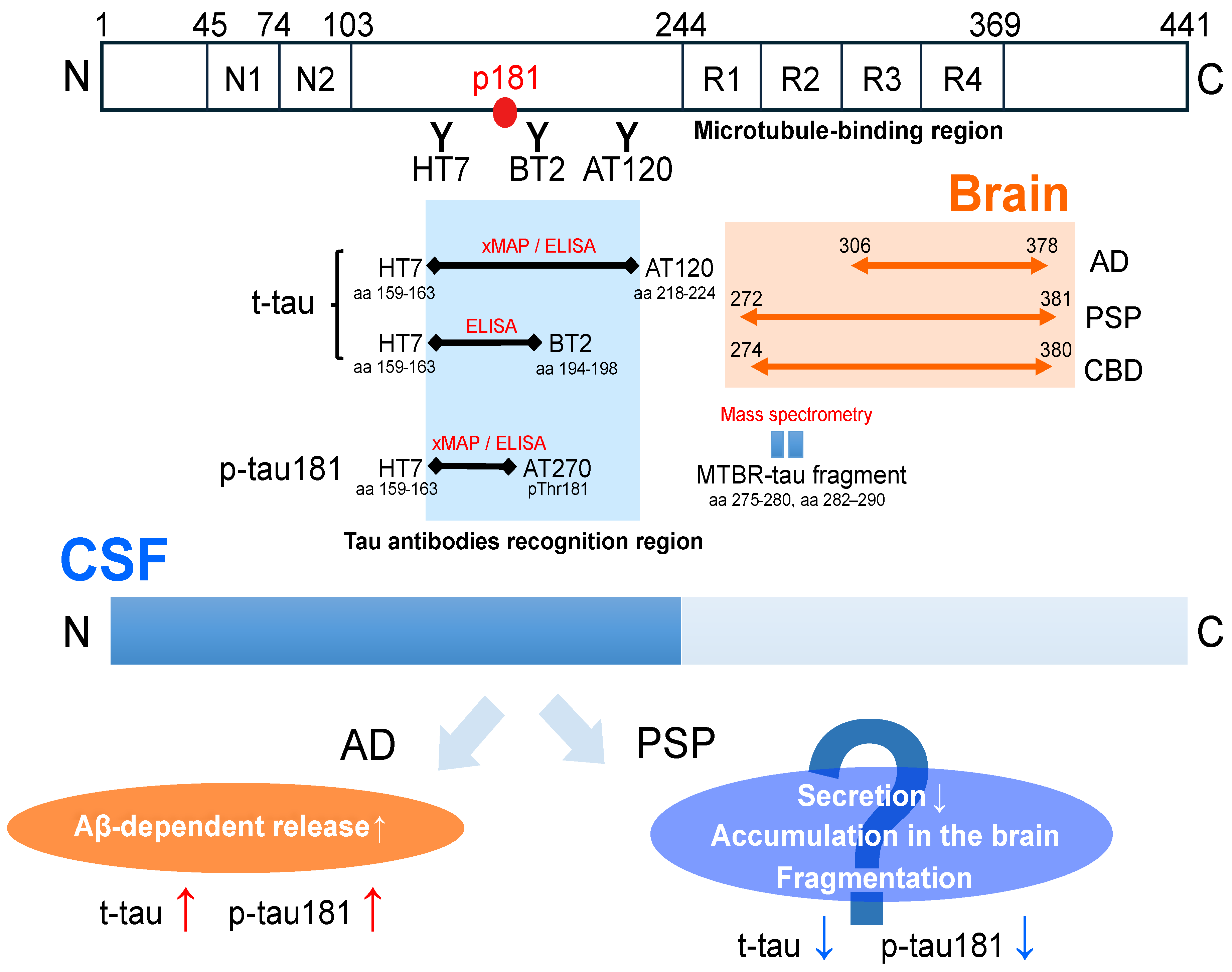 Brainsci 14 00859 g002