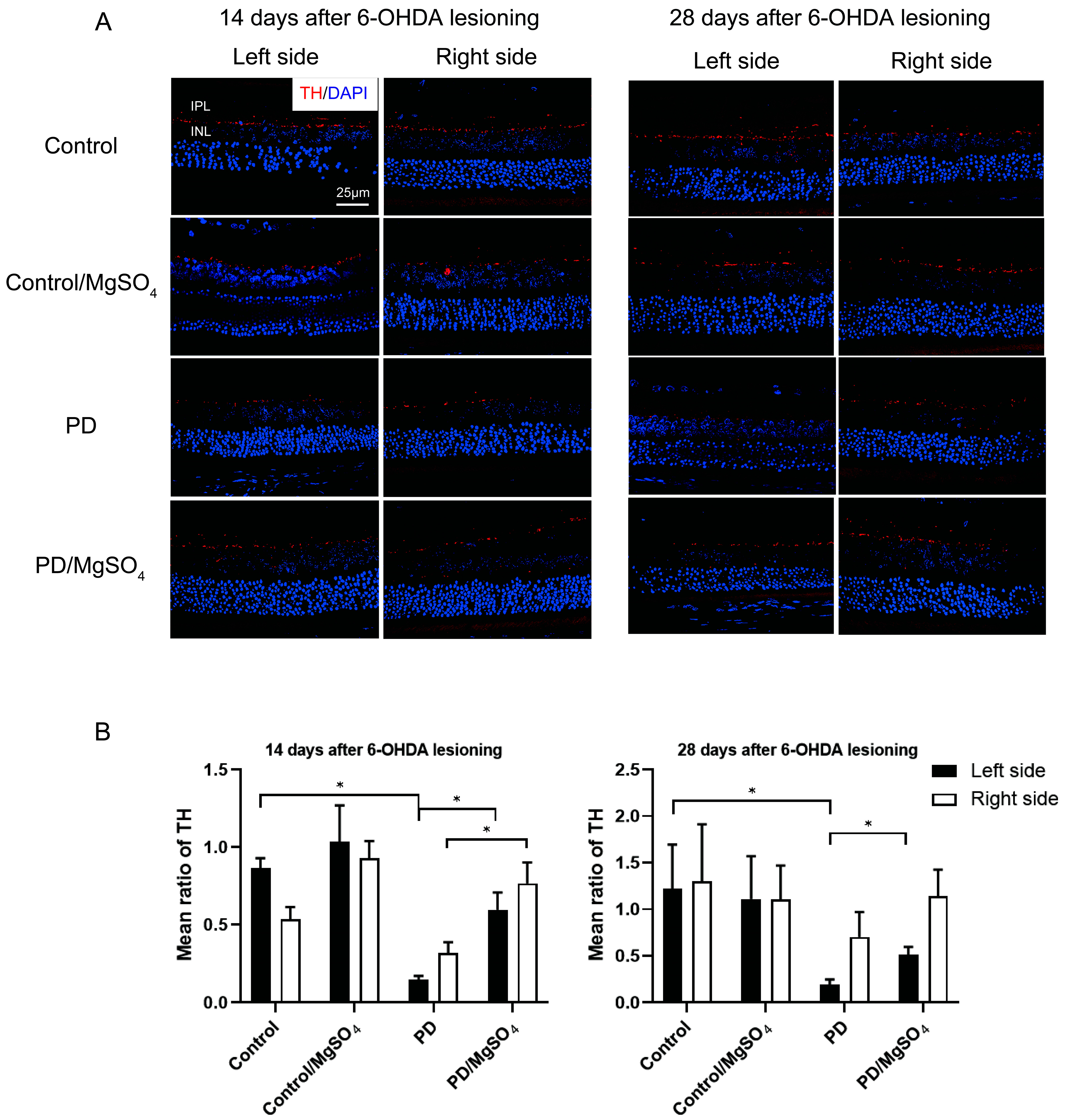 Brainsci 14 00861 g003