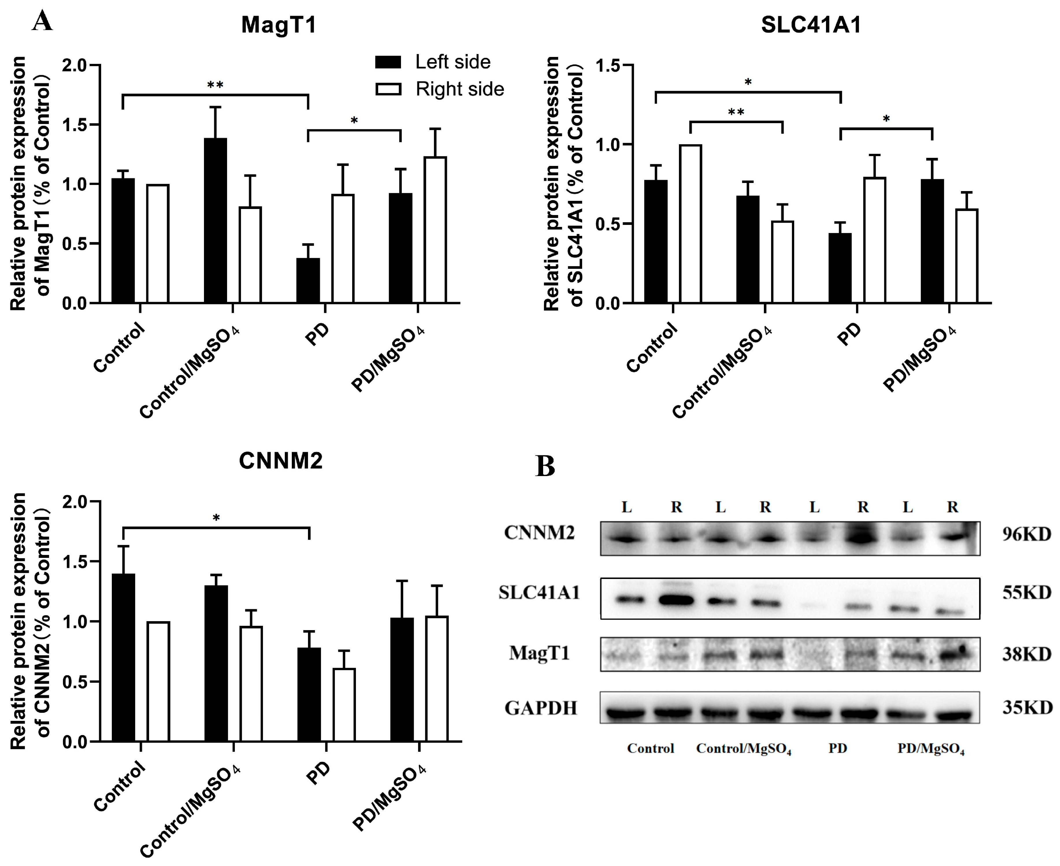 Brainsci 14 00861 g007
