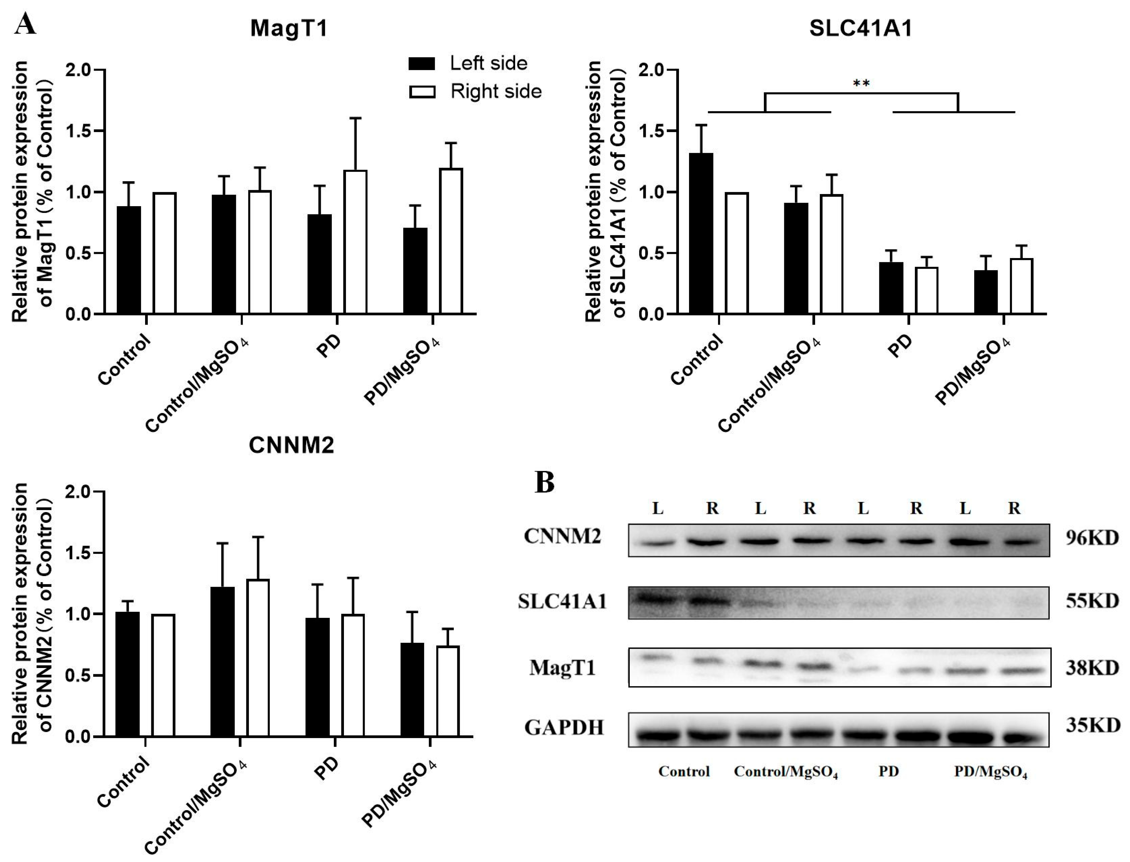 Brainsci 14 00861 g008