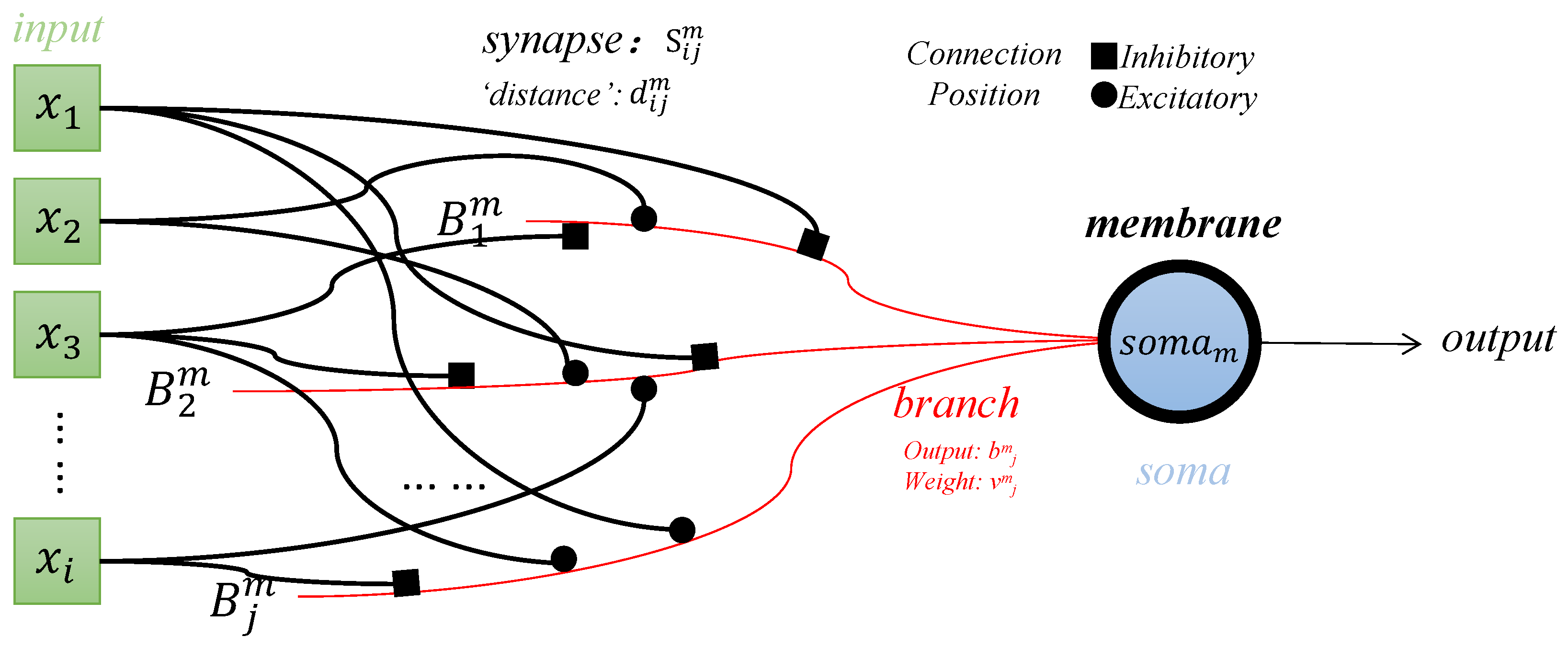 Brainsci 14 00864 g001