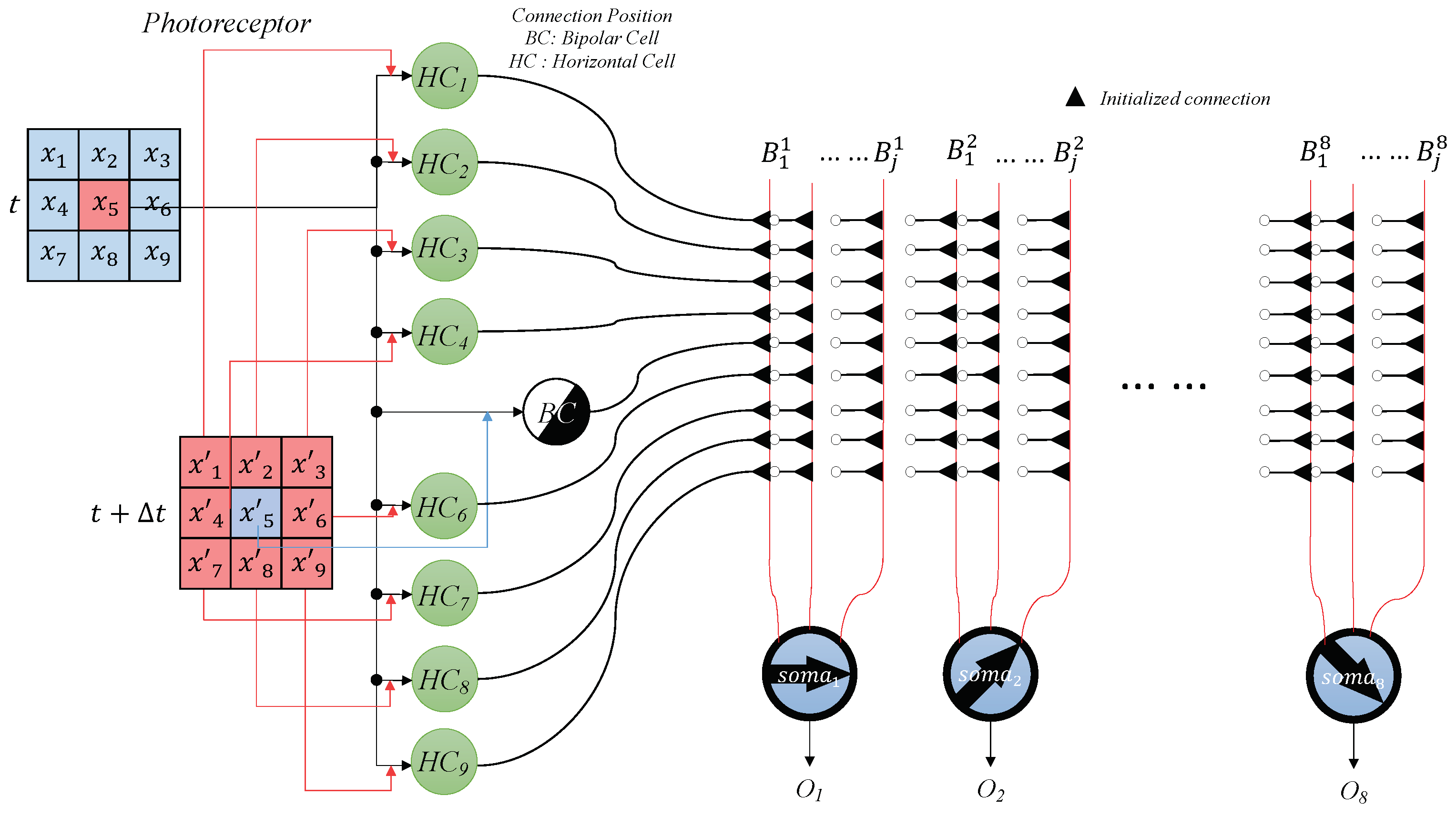 Brainsci 14 00864 g004
