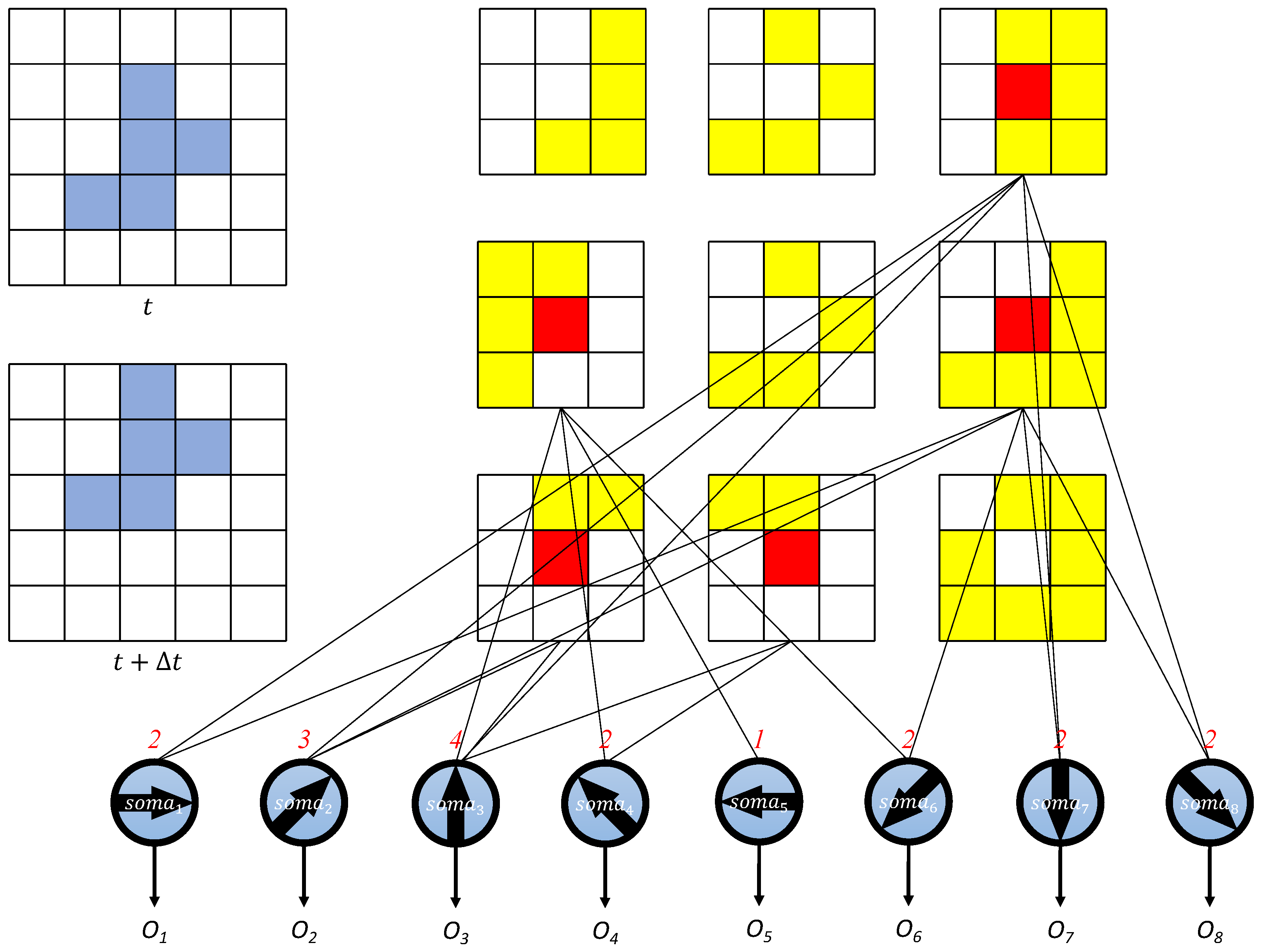 Brainsci 14 00864 g005