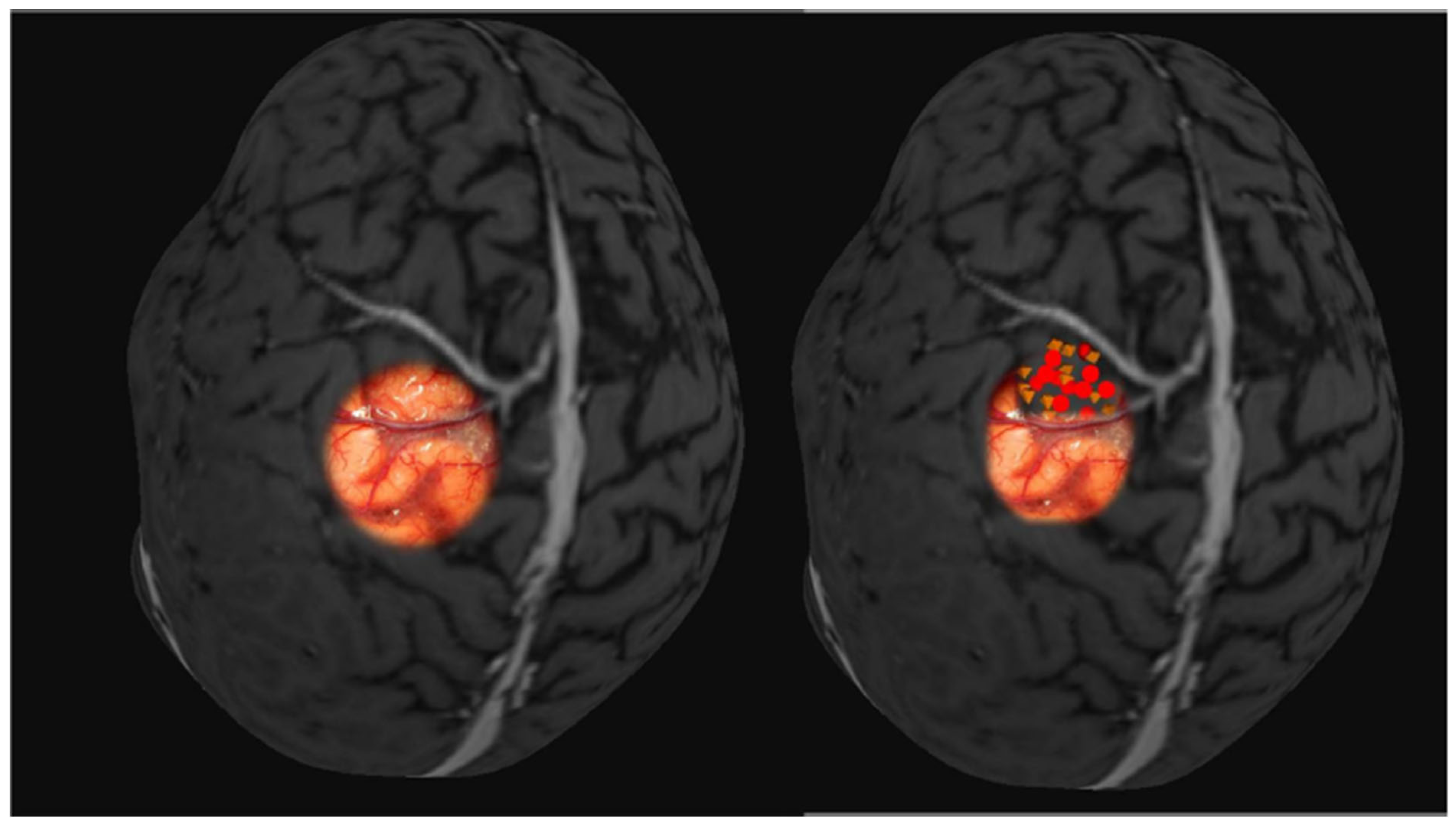Brainsci 14 00867 g003