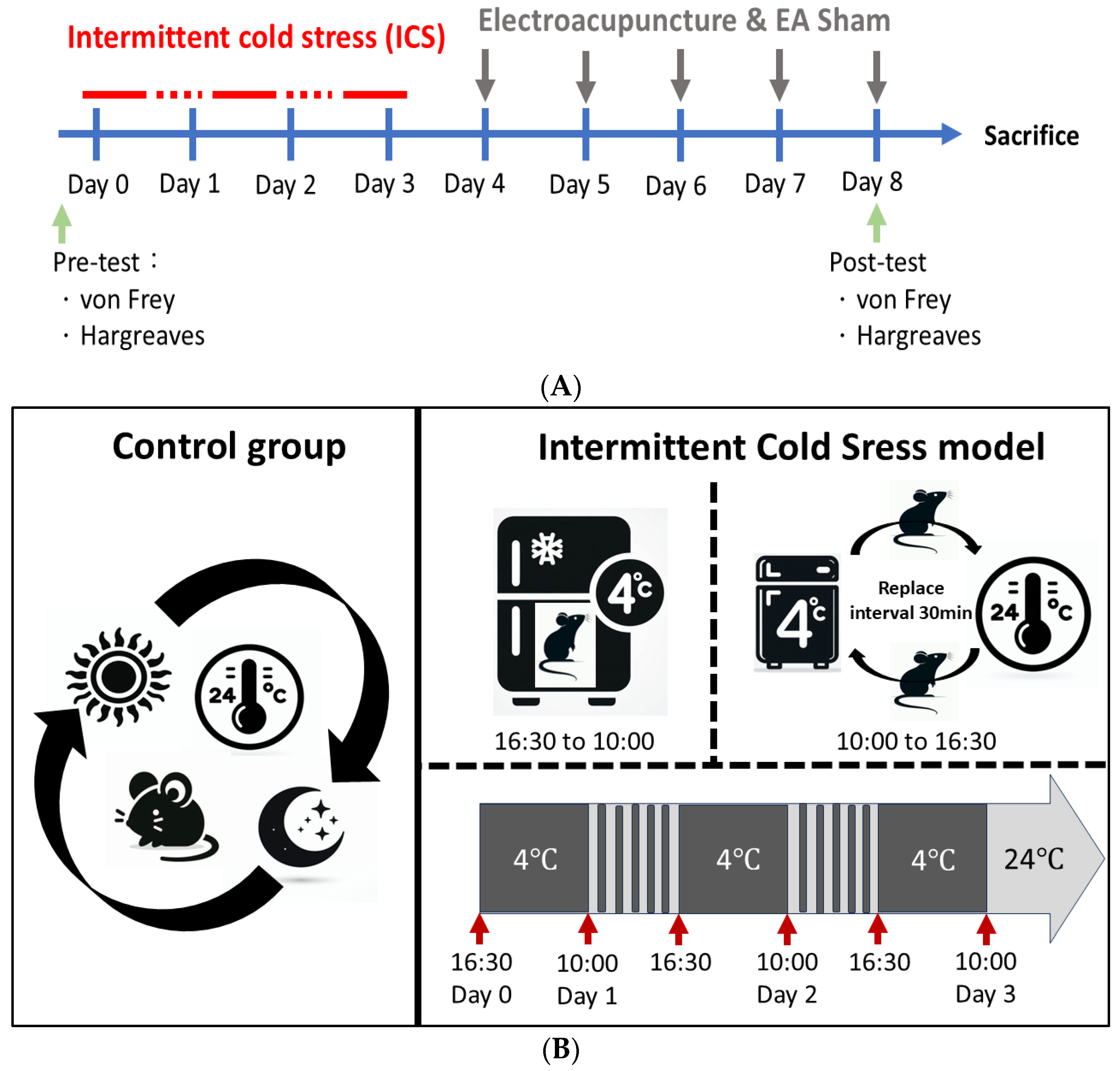 Brainsci 14 00869 g001 Brainsci 14 00869 g001