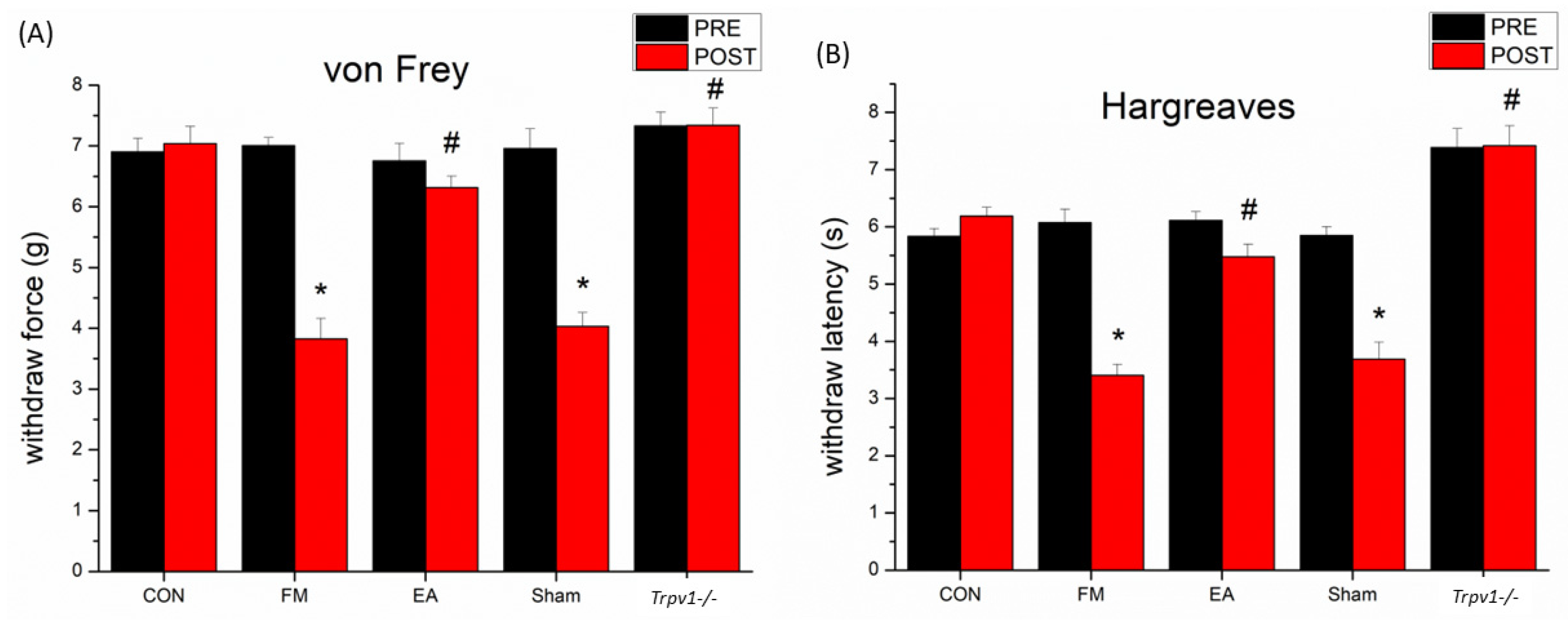 Brainsci 14 00869 g002 Brainsci 14 00869 g002