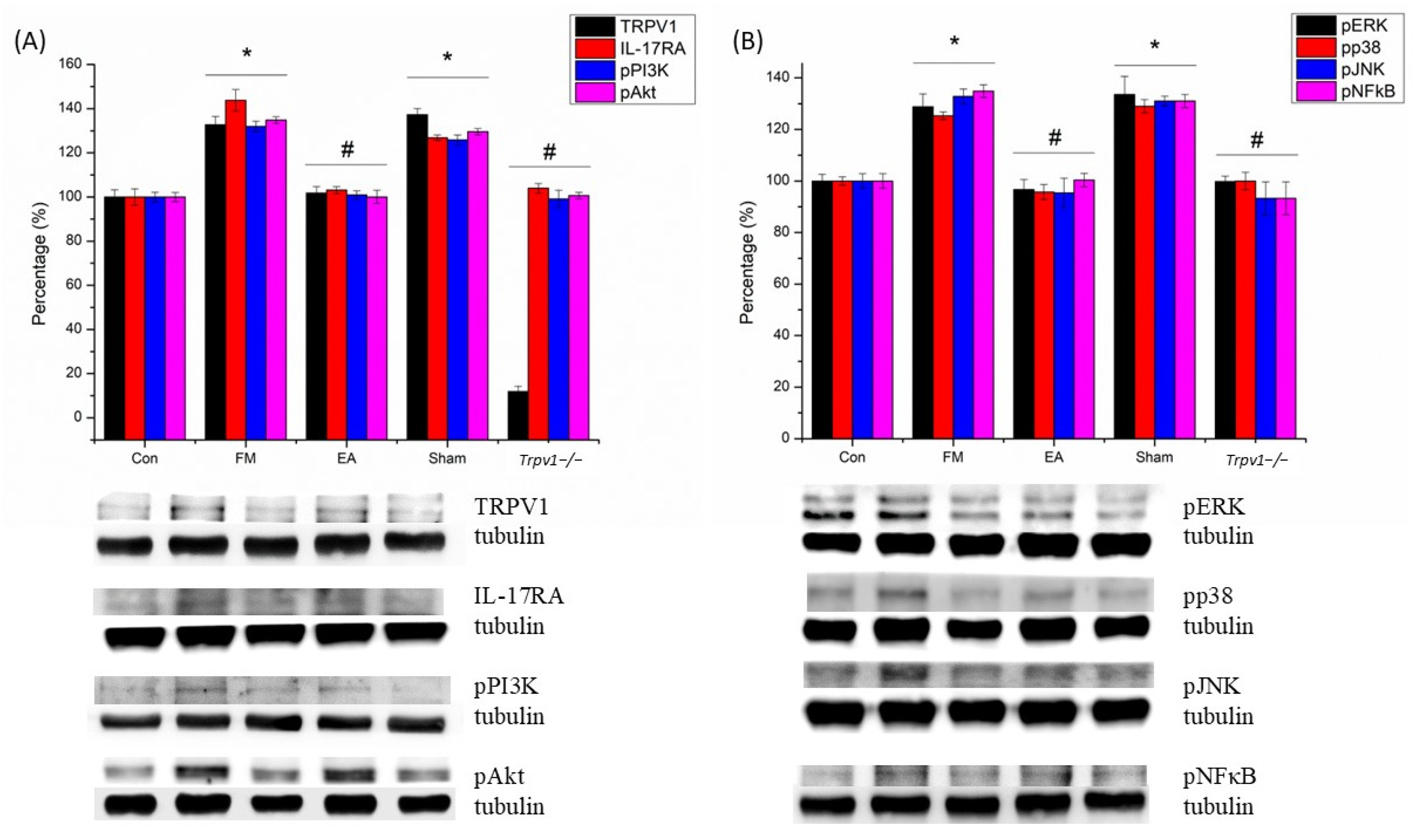 Brainsci 14 00869 g004 Brainsci 14 00869 g004