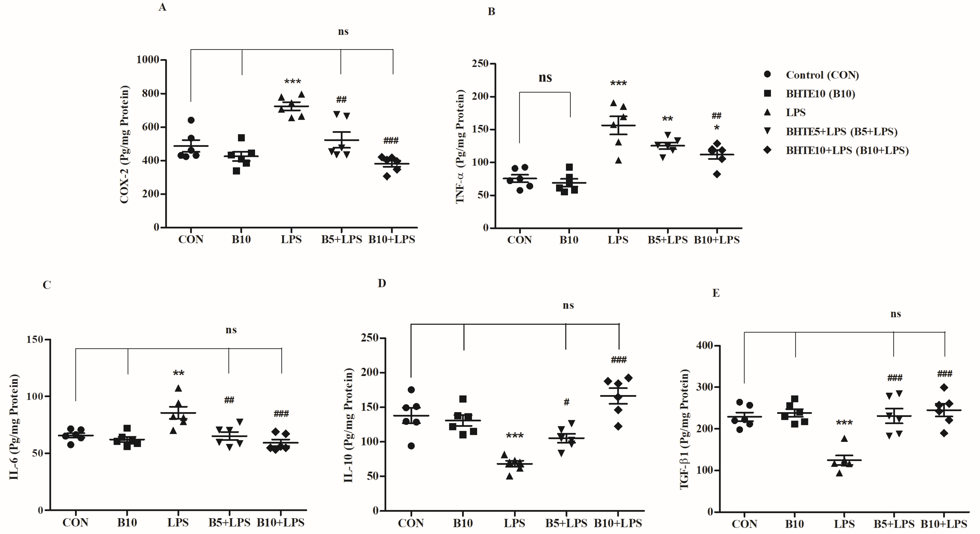 Brainsci 14 00876 g006