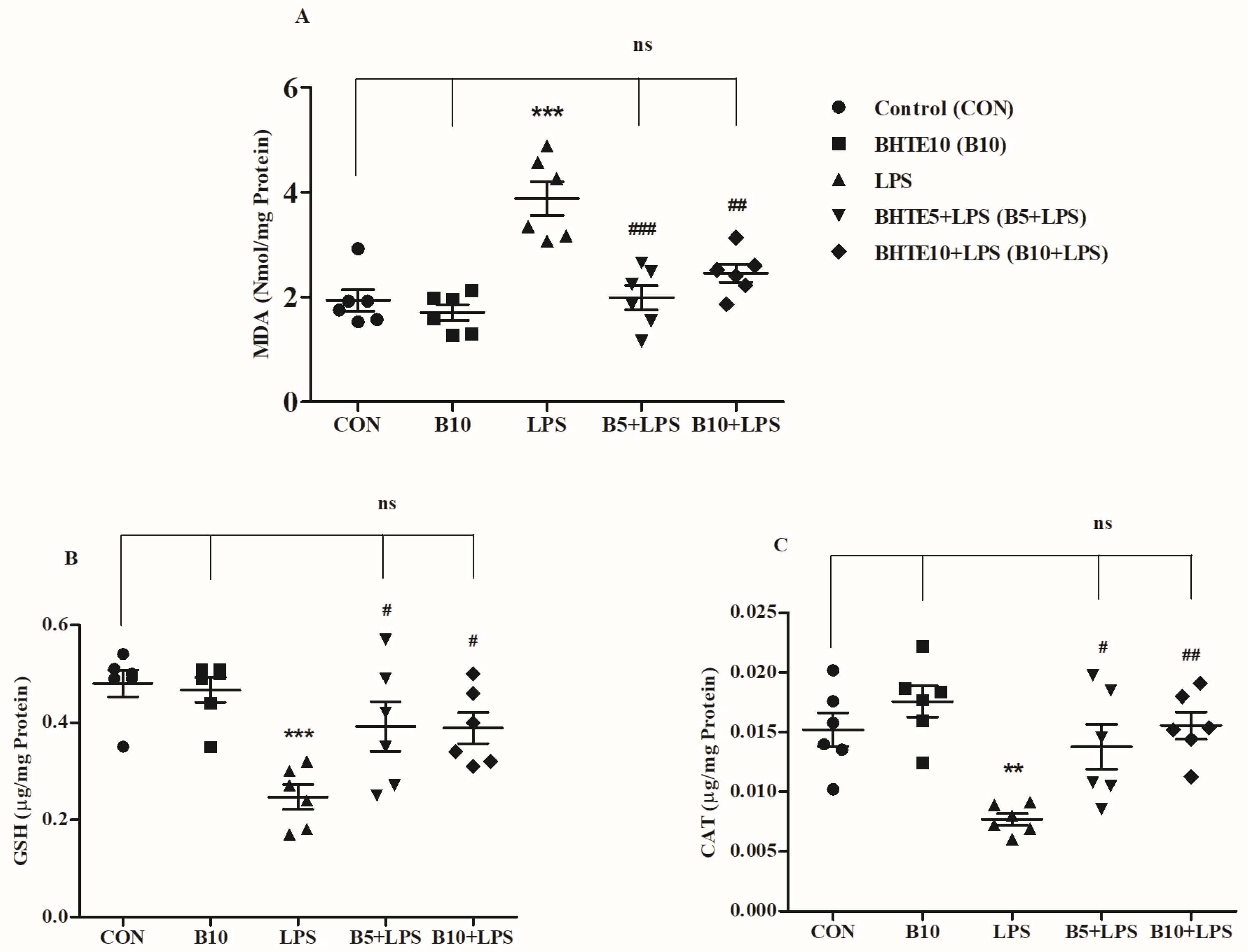 Brainsci 14 00876 g009