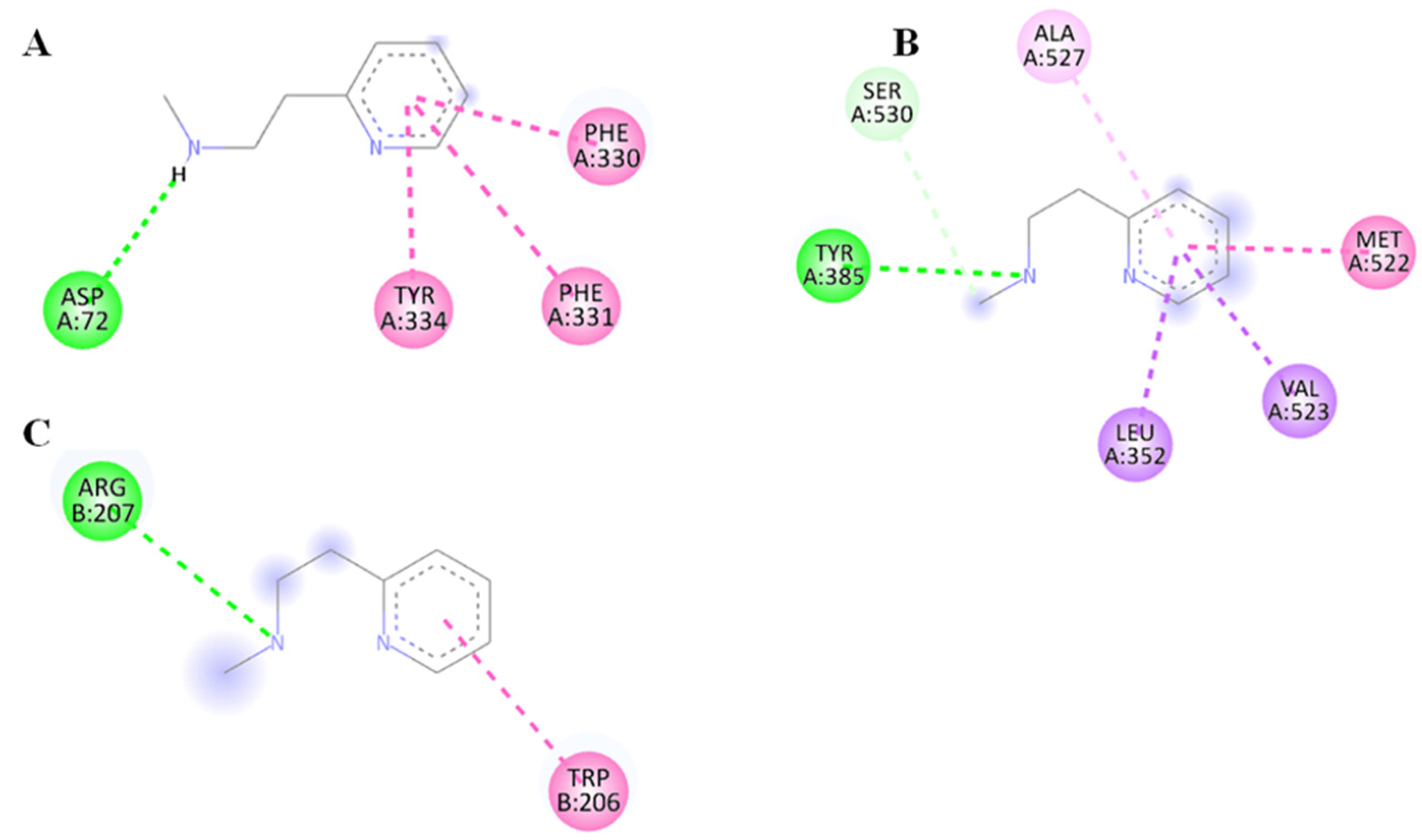 Brainsci 14 00876 g010