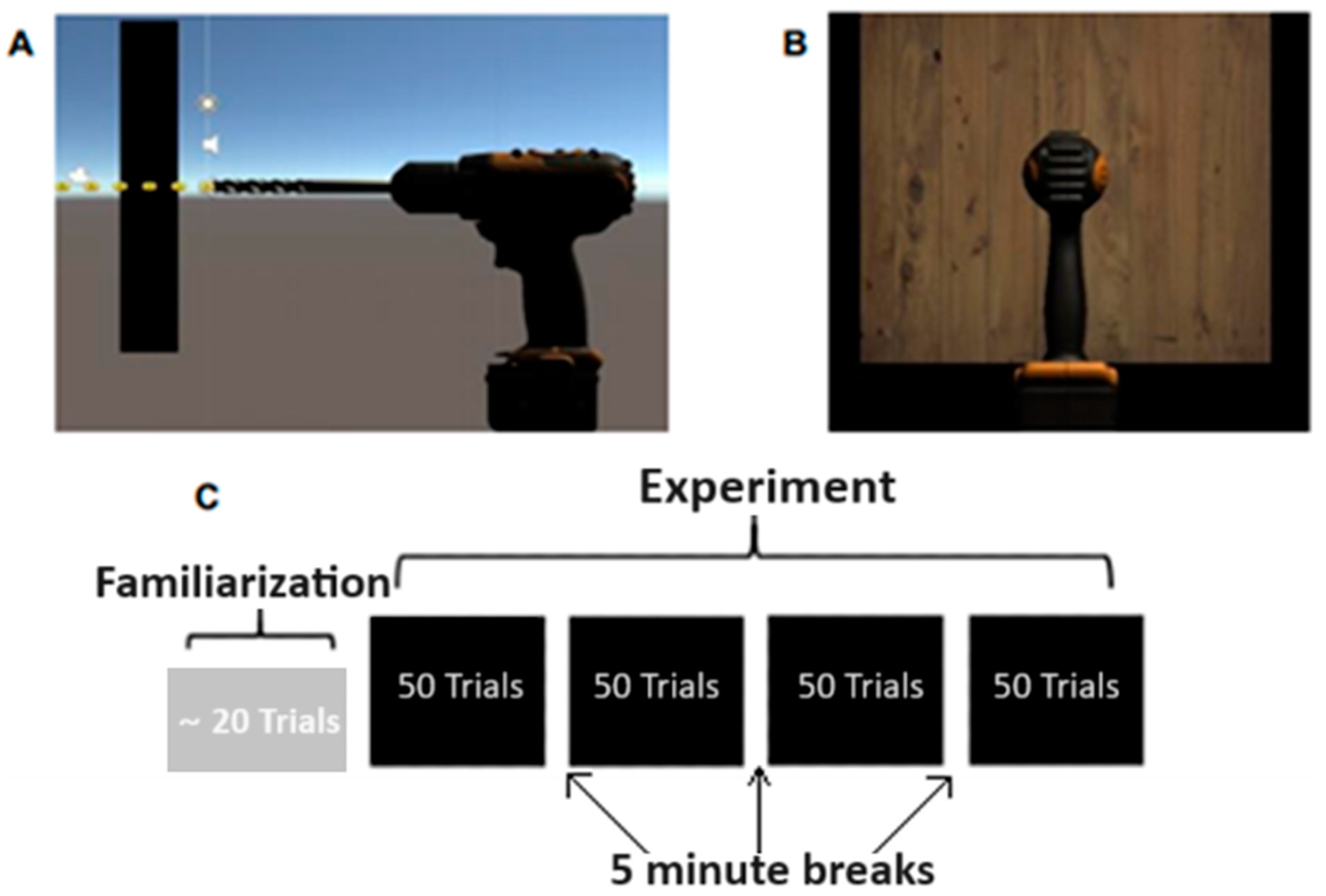 Brainsci 14 00894 g003