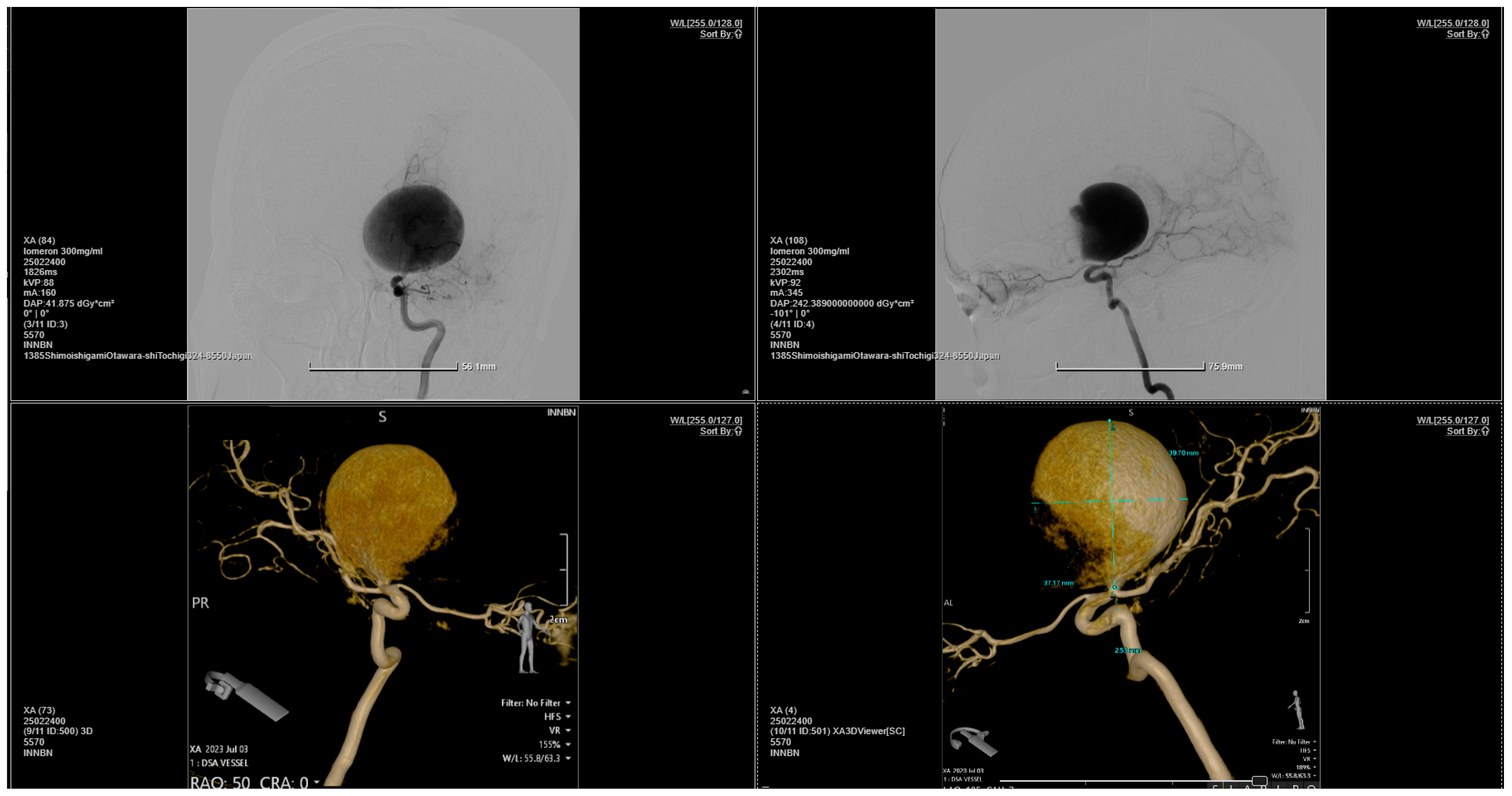 Brainsci 14 00897 g002