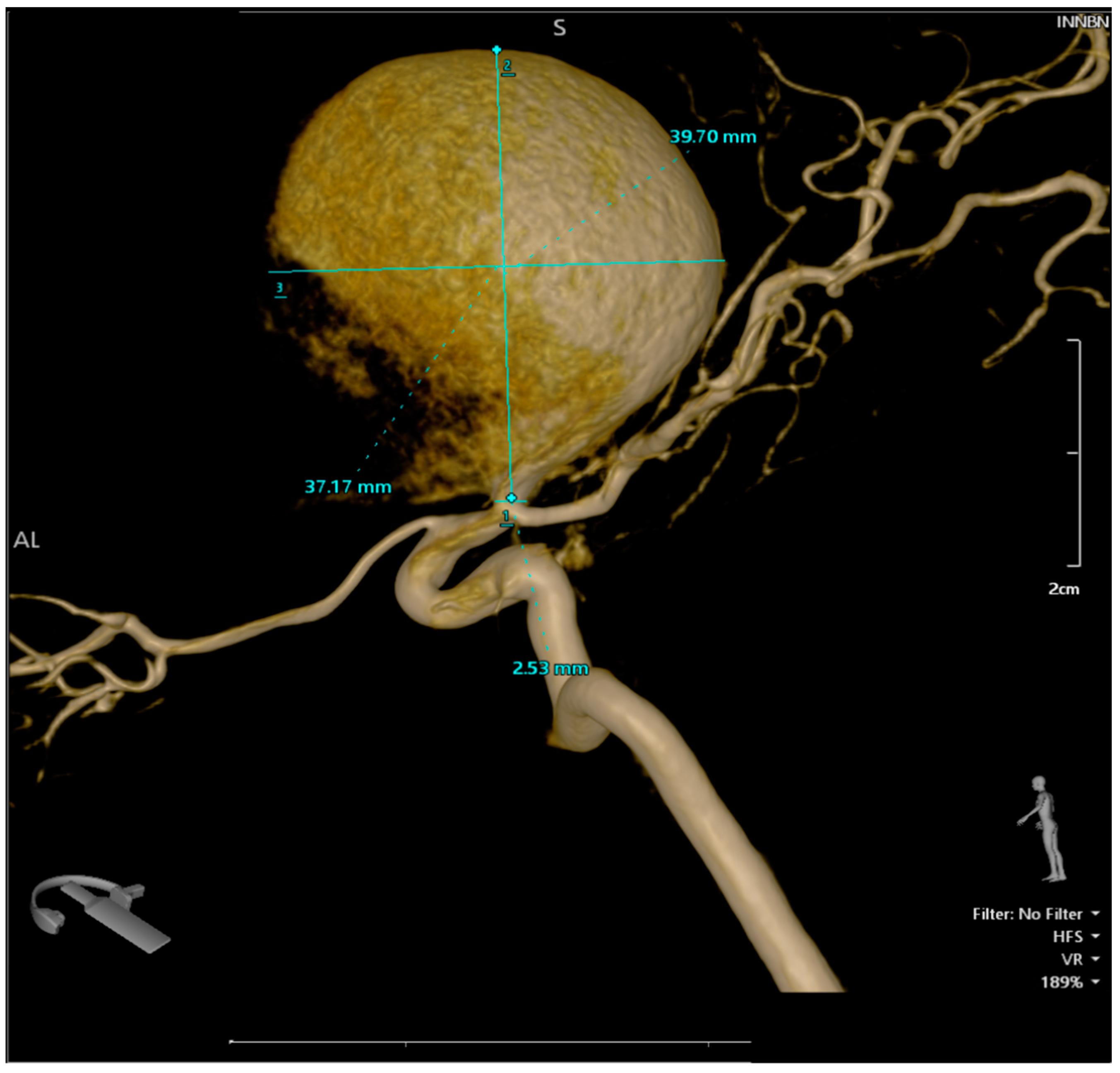Brainsci 14 00897 g003