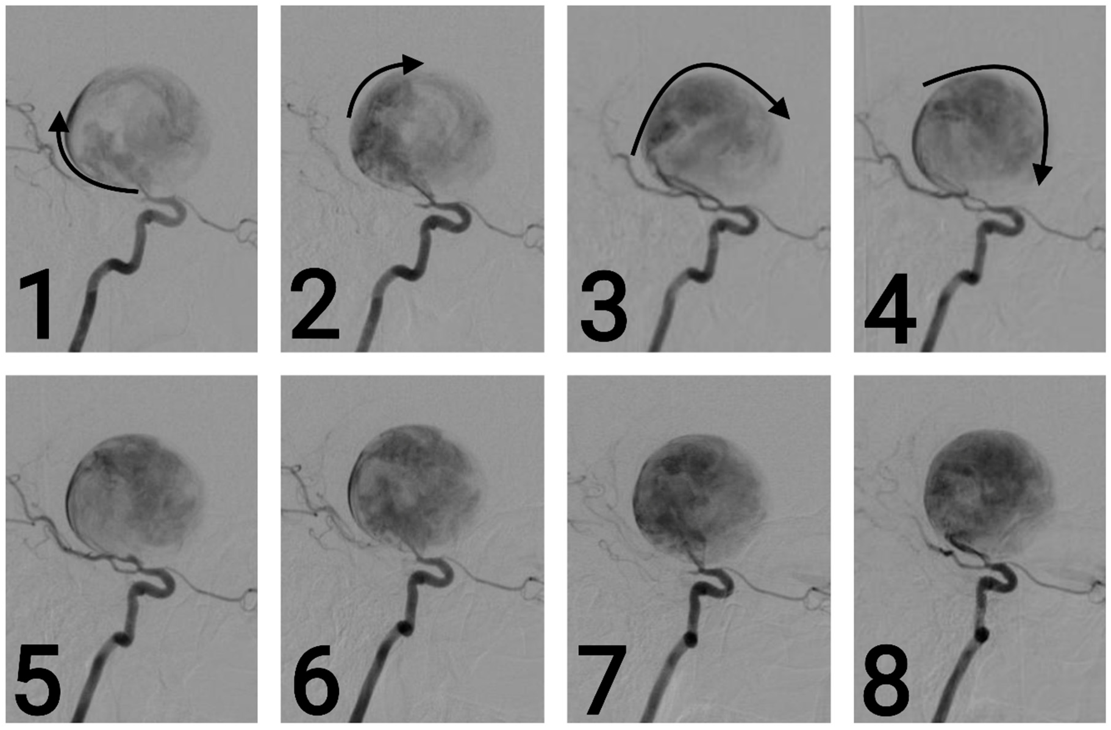 Brainsci 14 00897 g004