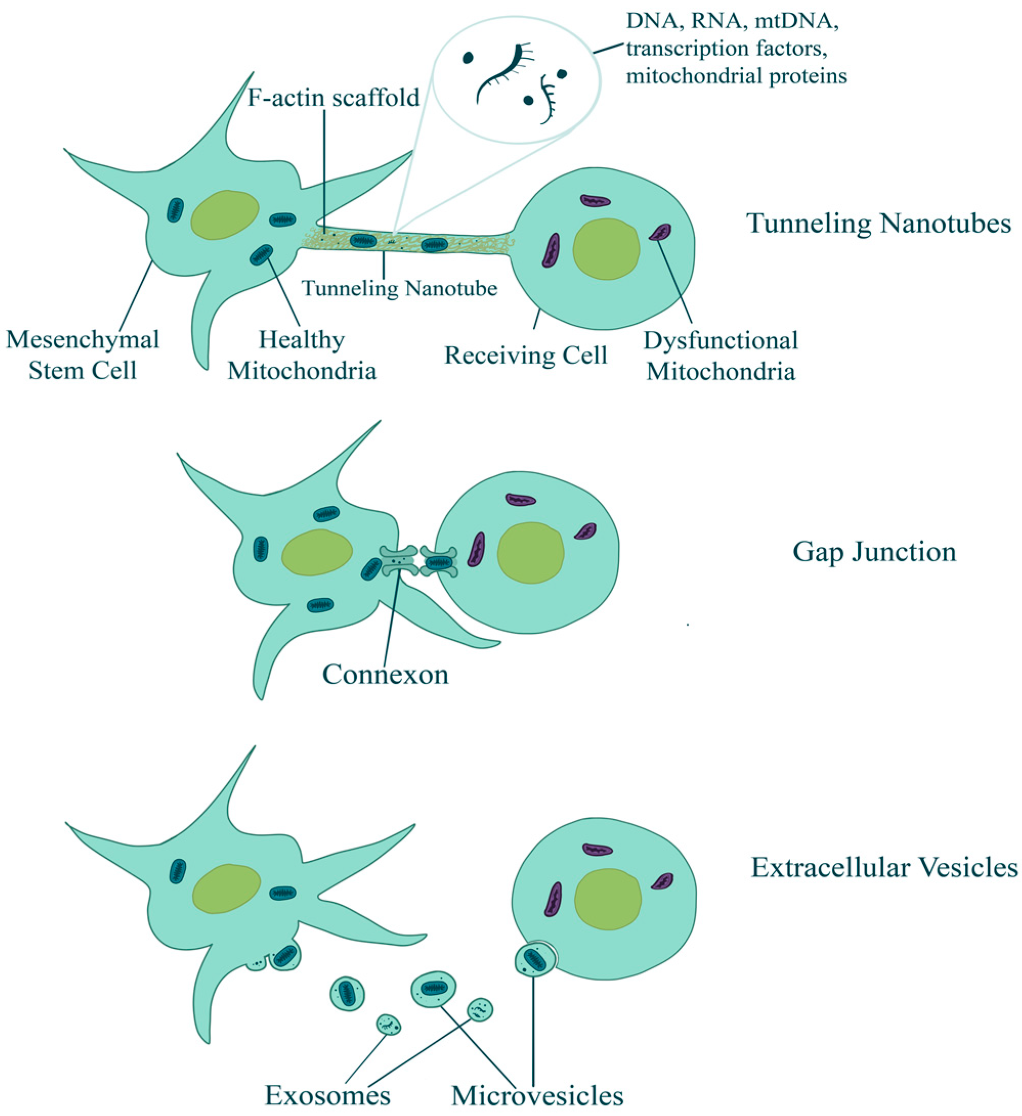 Brainsci 14 00899 g001