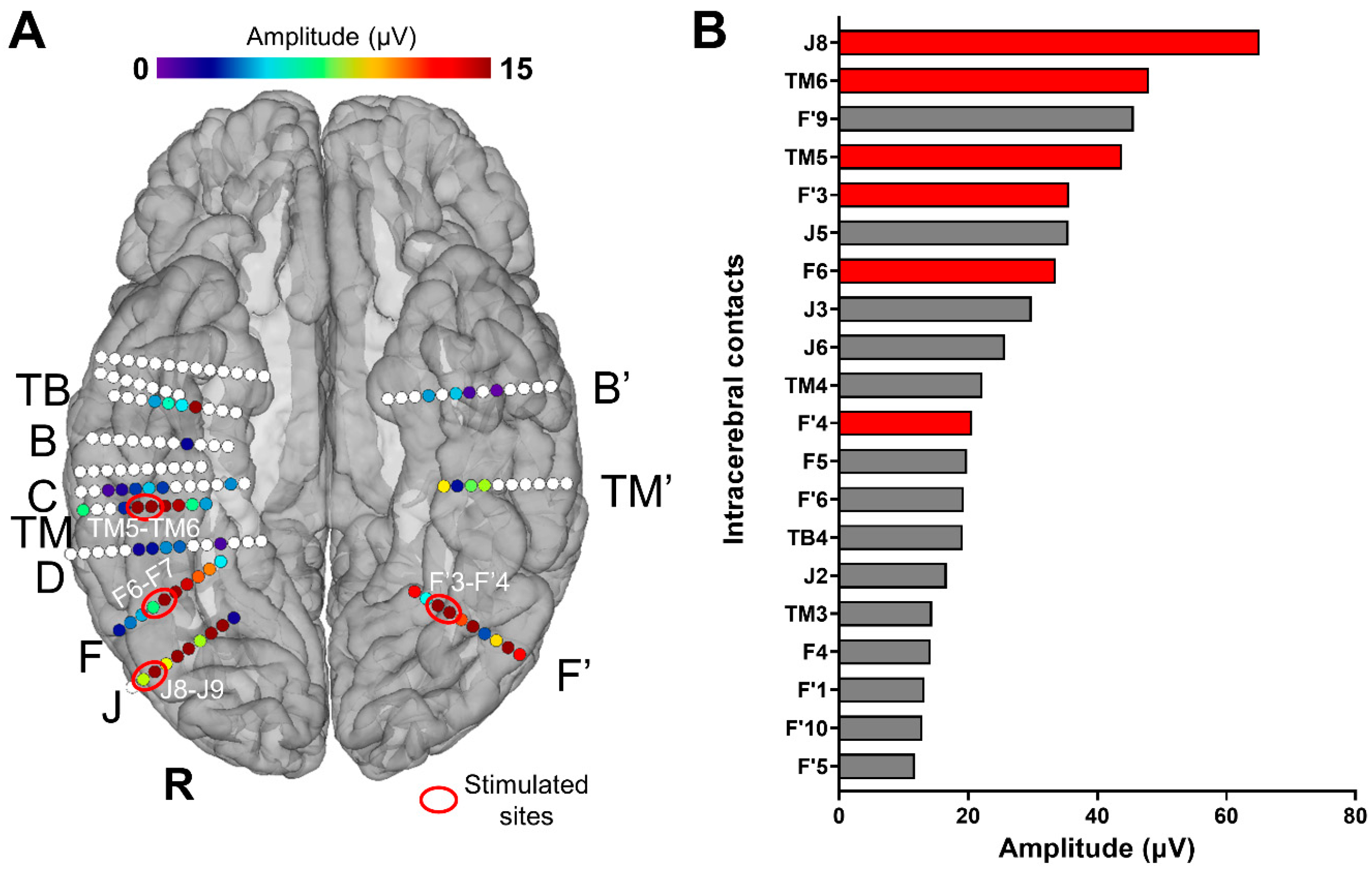 Brainsci 14 00906 g001