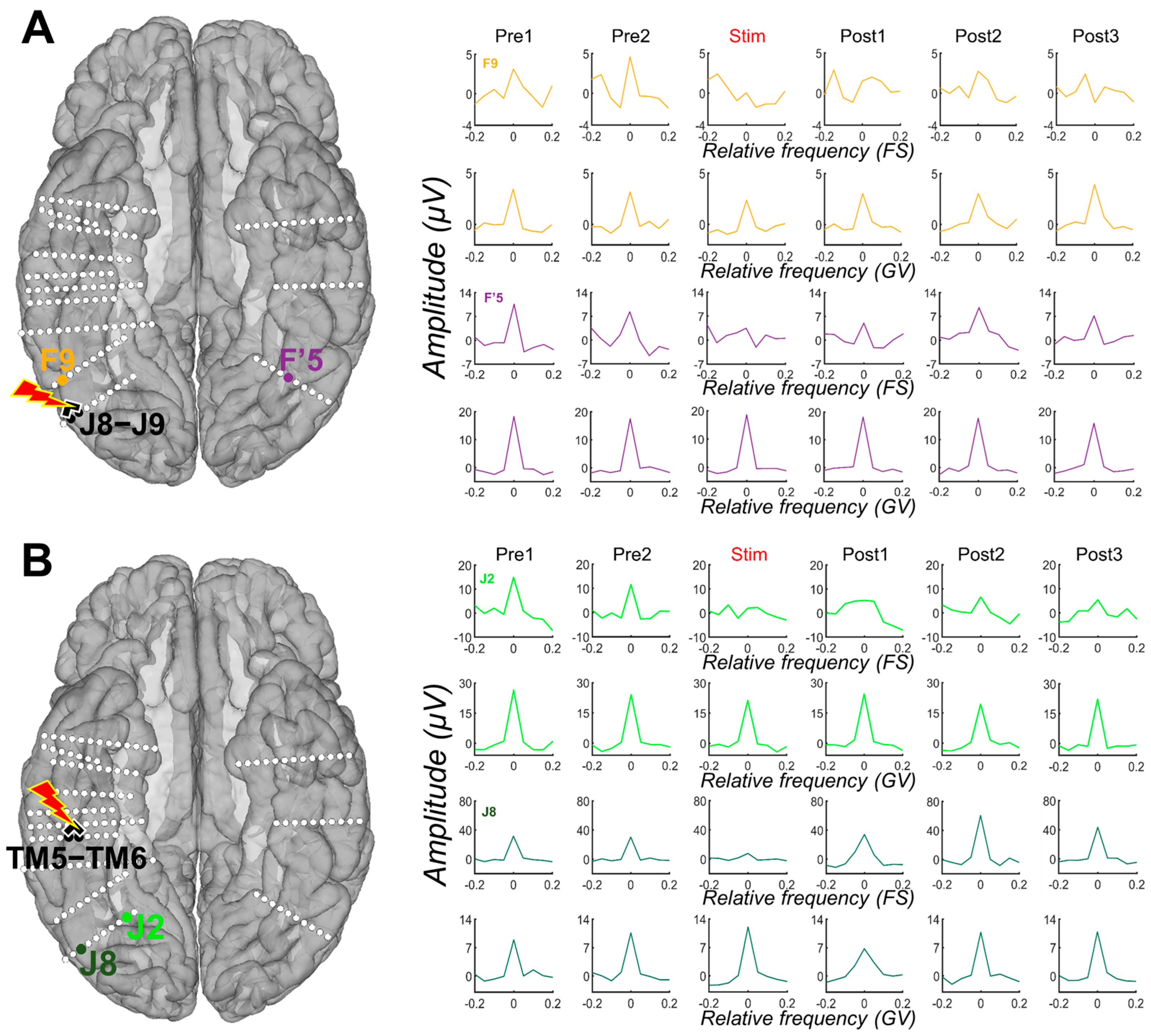 Brainsci 14 00906 g003