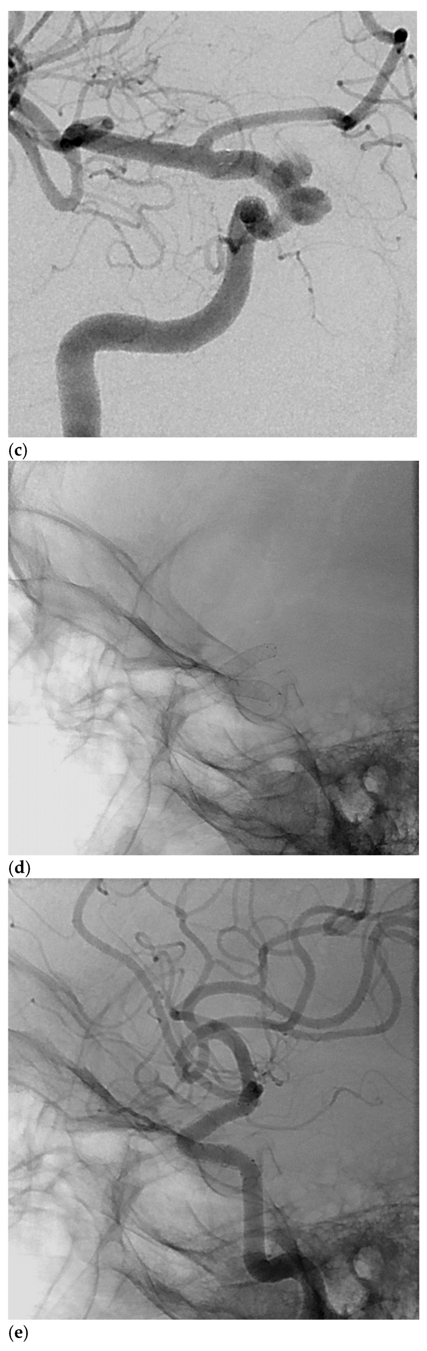 Brainsci 14 00911 g001b