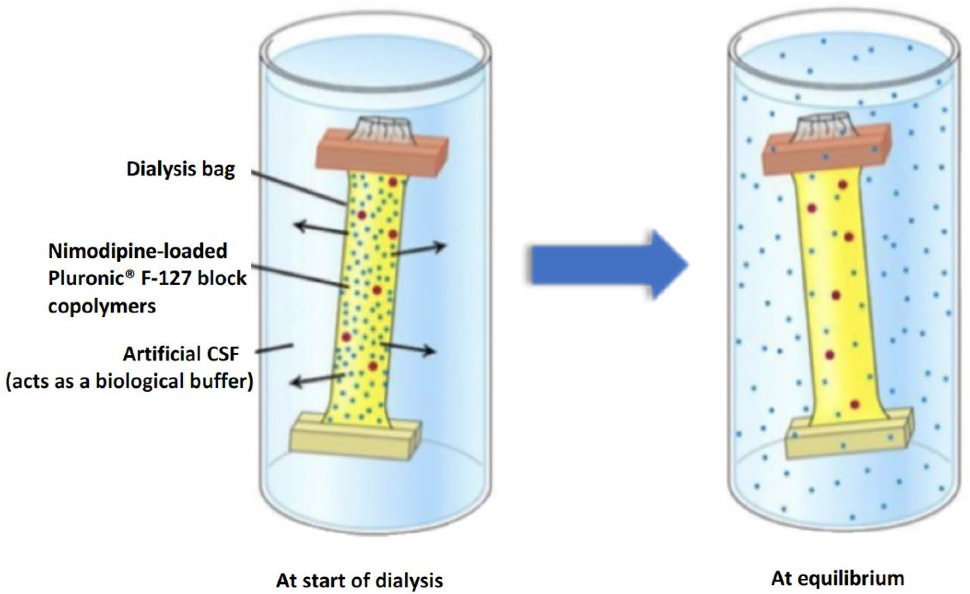 Brainsci 14 00912 g001