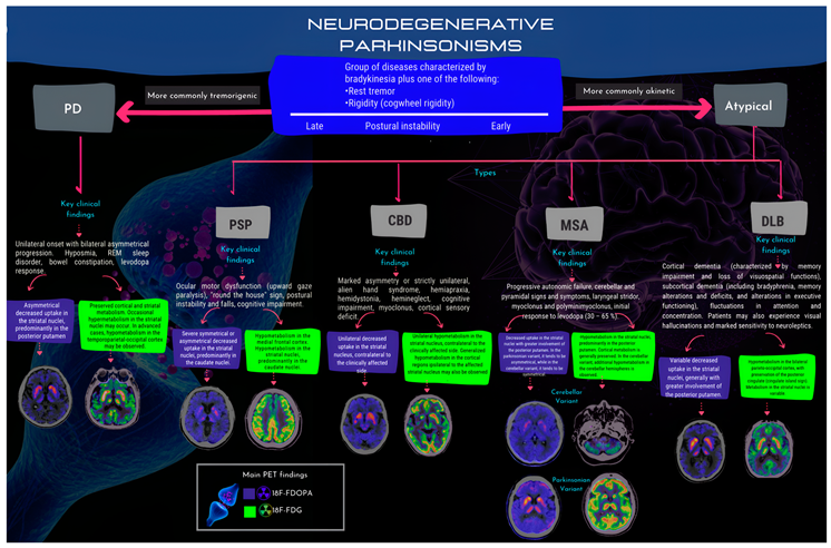 Brainsci 14 00930 i001