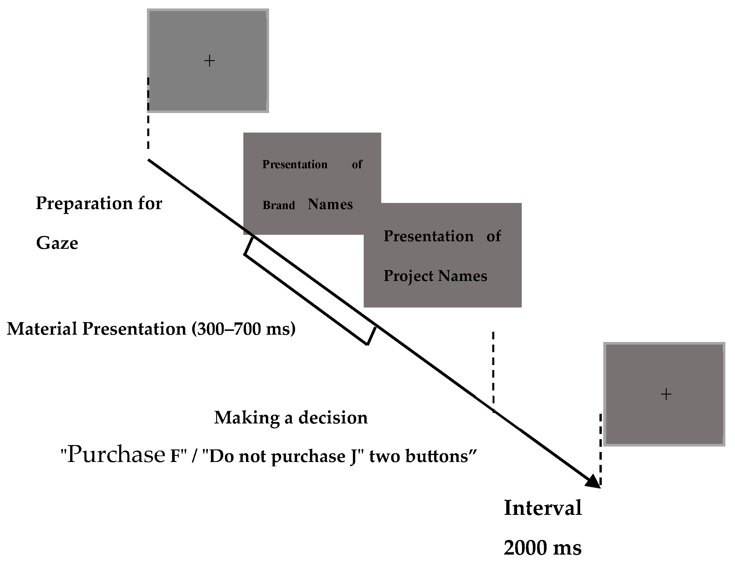 Brainsci 14 00940 g001 Brainsci 14 00940 g001