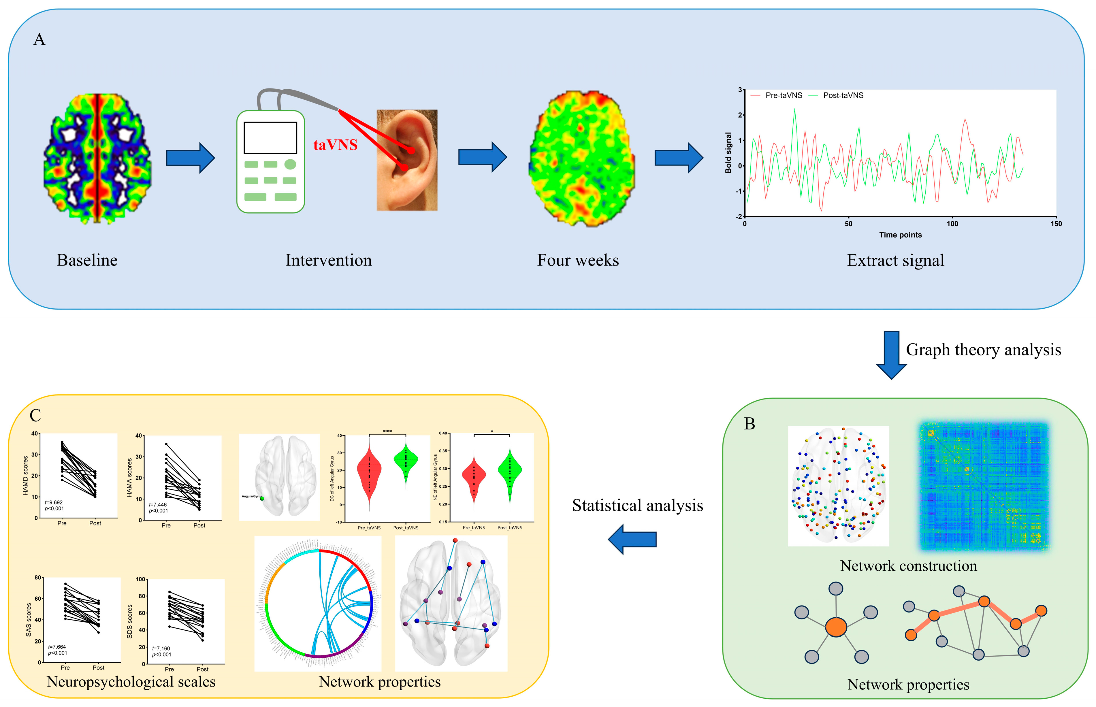 Transcutaneous Auricular Vagus Nerve Stimulation Modulating