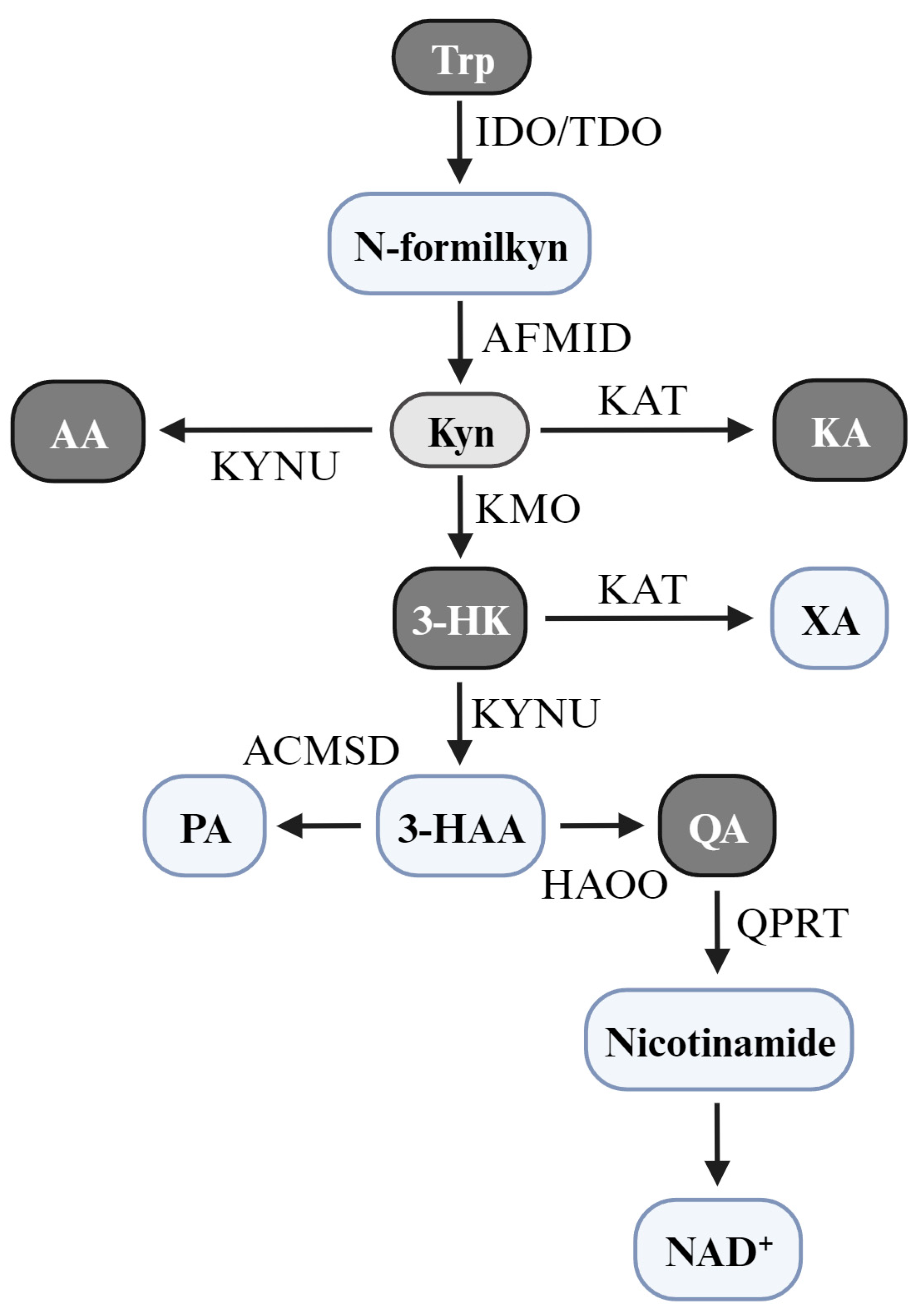 Brainsci 14 00950 g001